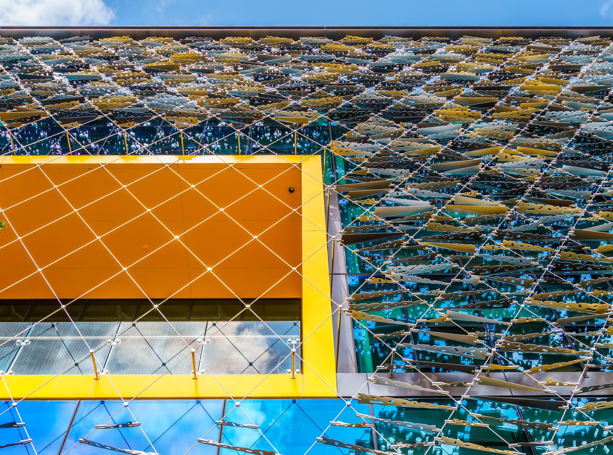 Auckland photo copyright-paulstamatiou_com-DSC07920