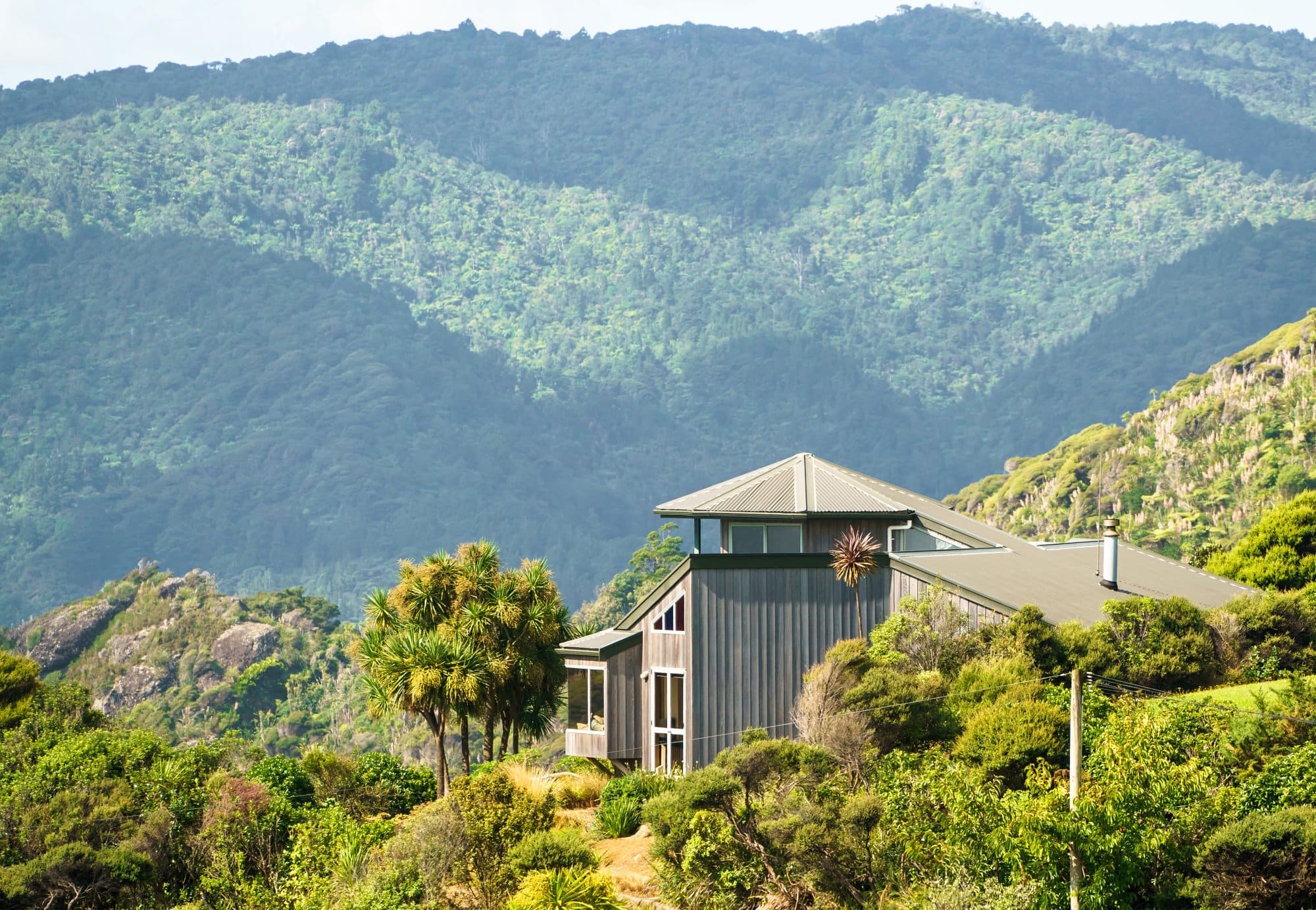 Auckland photo copyright-paulstamatiou_com-DSC07961