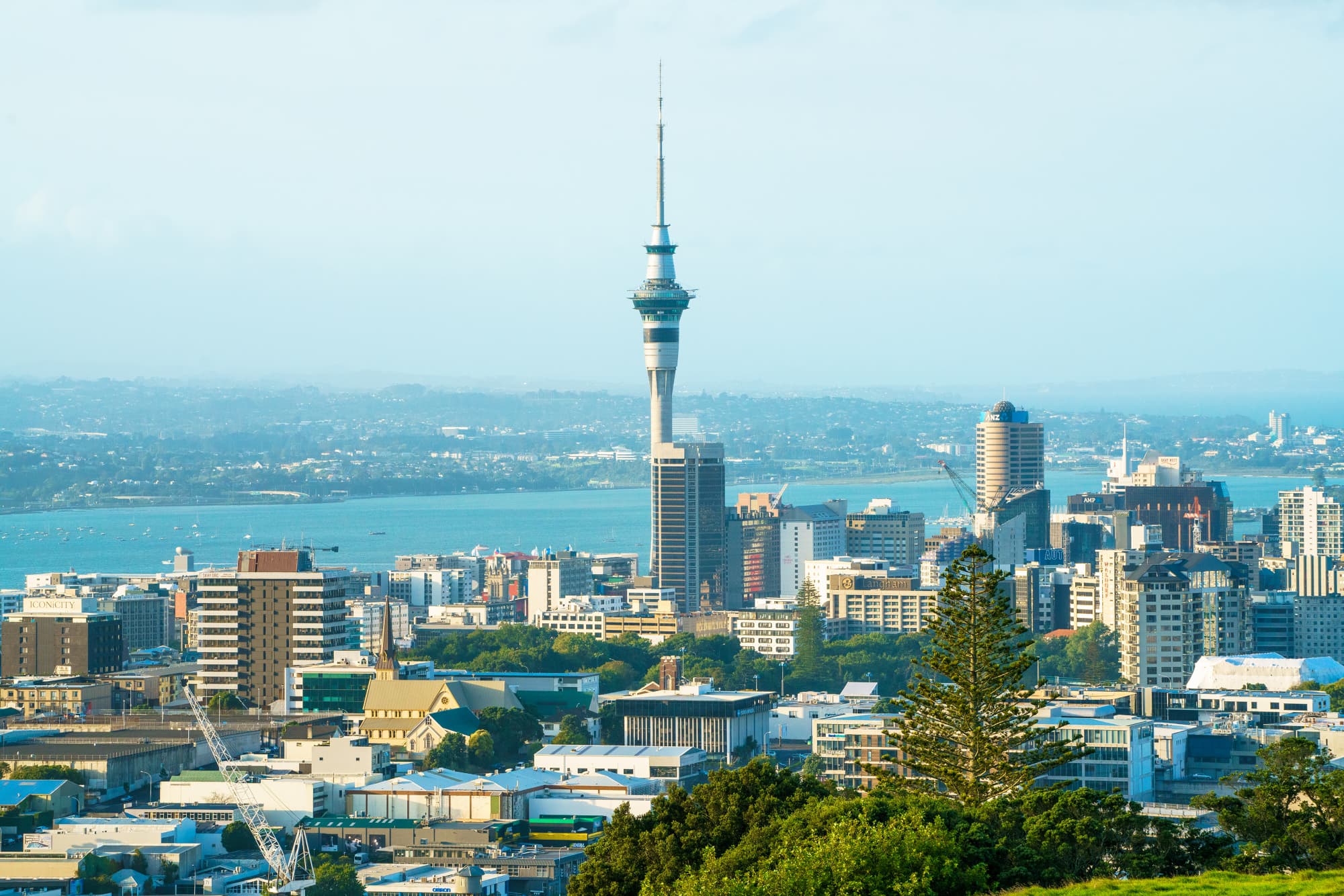 Auckland photo copyright-paulstamatiou_com-DSC08082