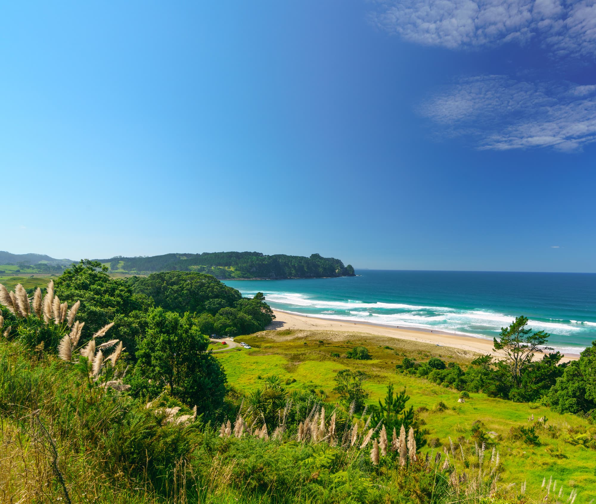 Coromandel Peninsula photo copyright-paulstamatiou_com-DSC08349