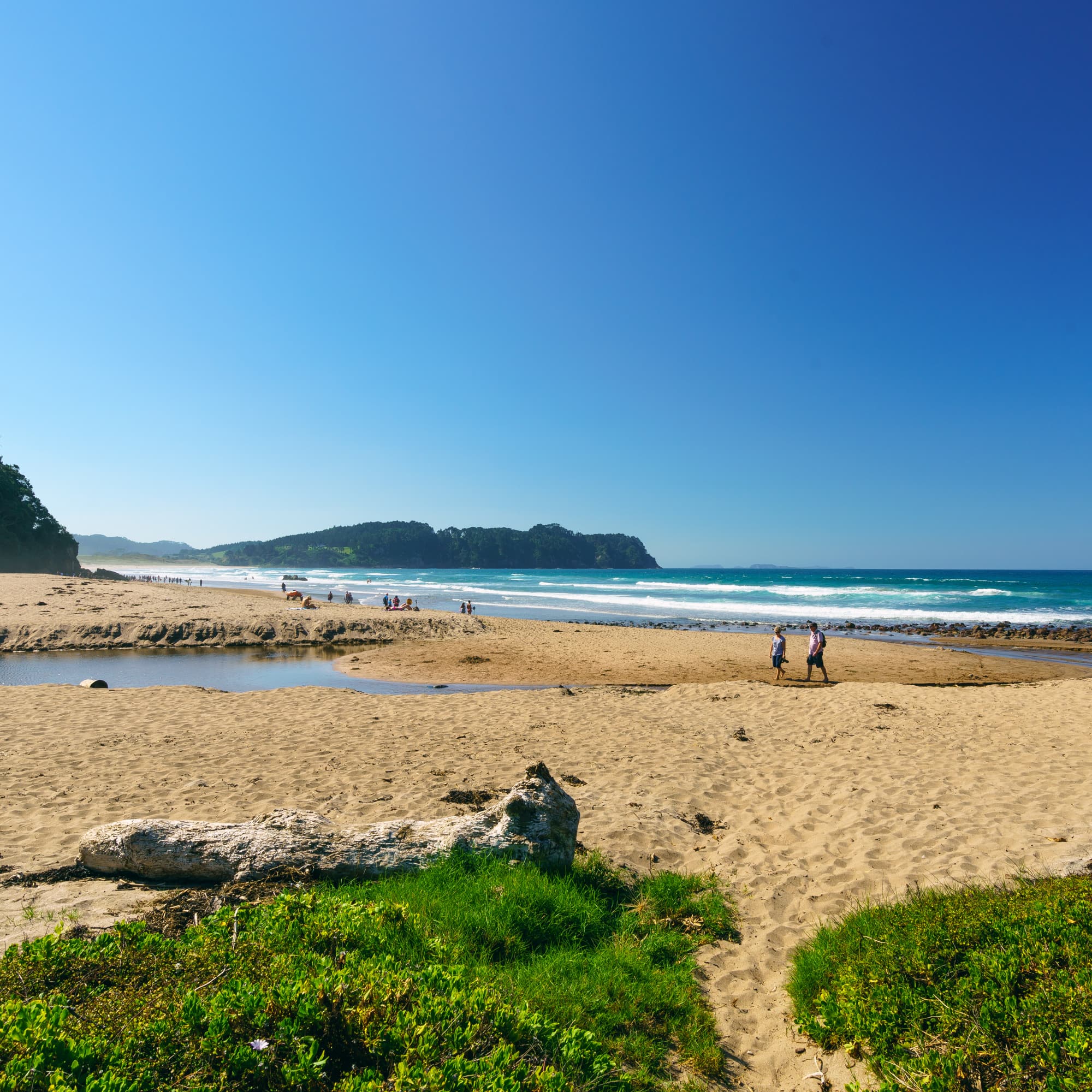 Coromandel Peninsula photo copyright-paulstamatiou_com-DSC08355