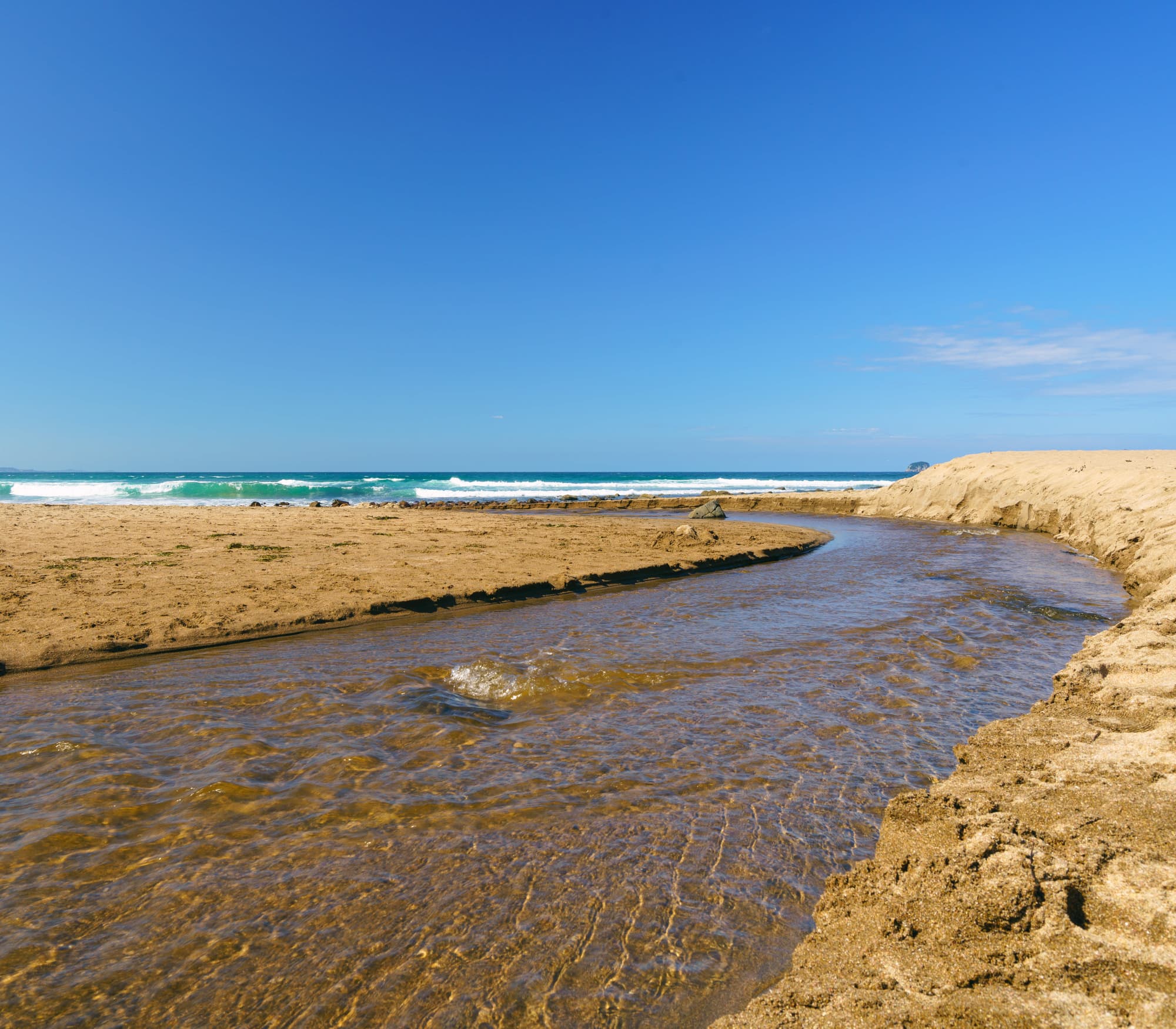 Coromandel Peninsula photo copyright-paulstamatiou_com-DSC08359