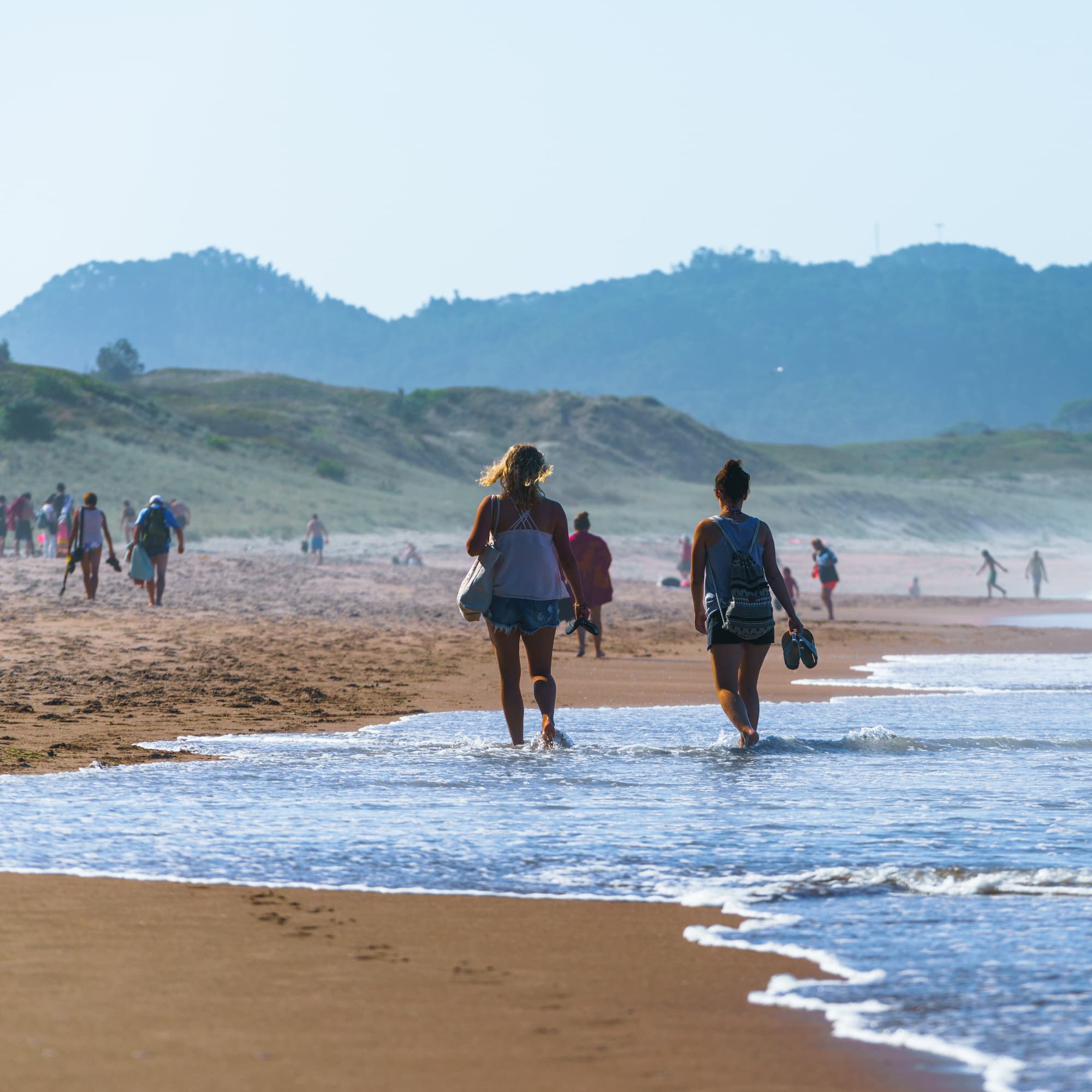 Coromandel Peninsula photo copyright-paulstamatiou_com-DSC08406