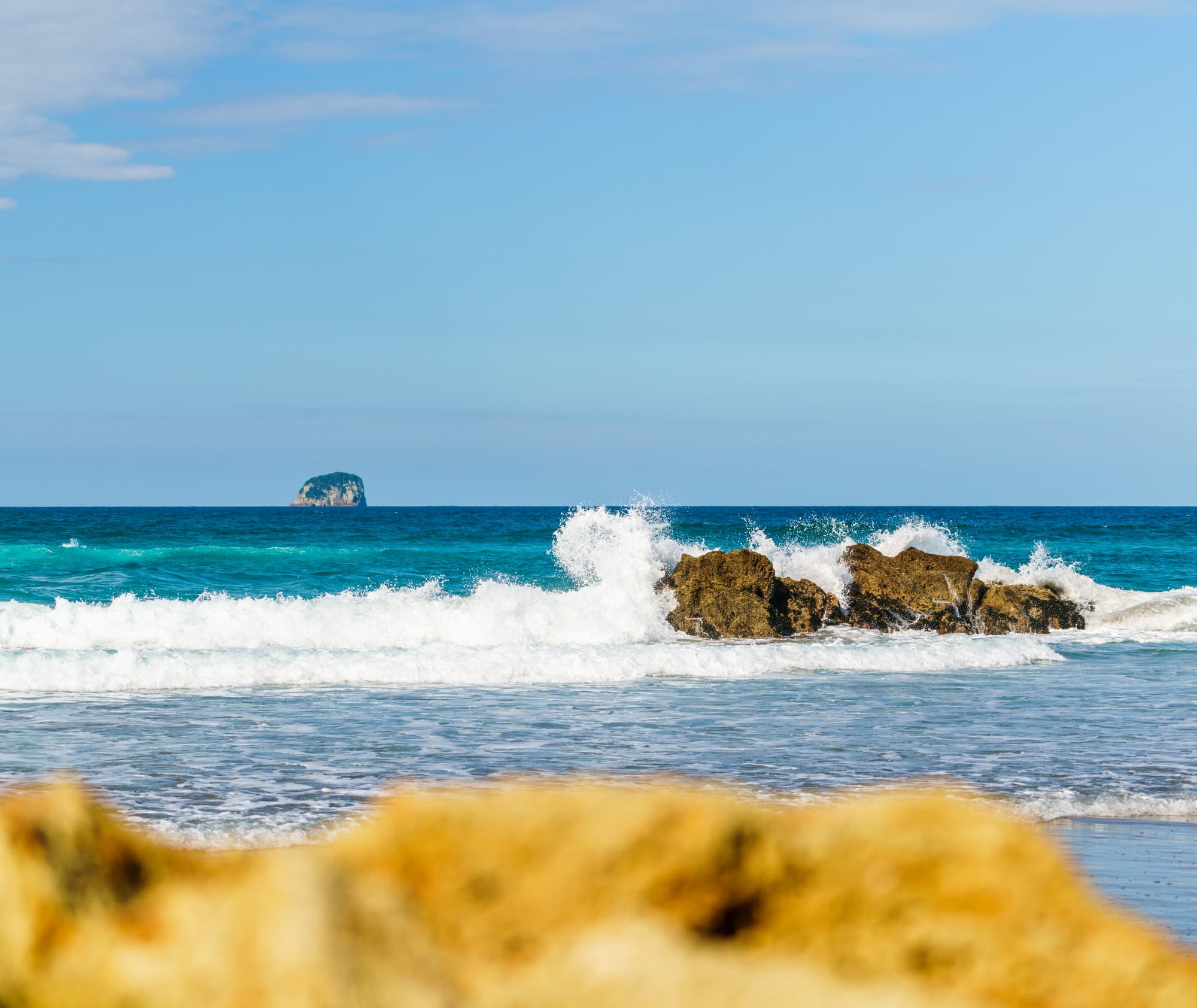 Coromandel Peninsula photo copyright-paulstamatiou_com-DSC08426