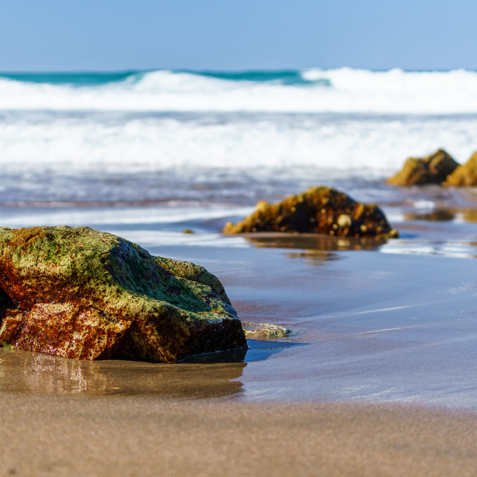 Coromandel Peninsula photo copyright-paulstamatiou_com-DSC08428