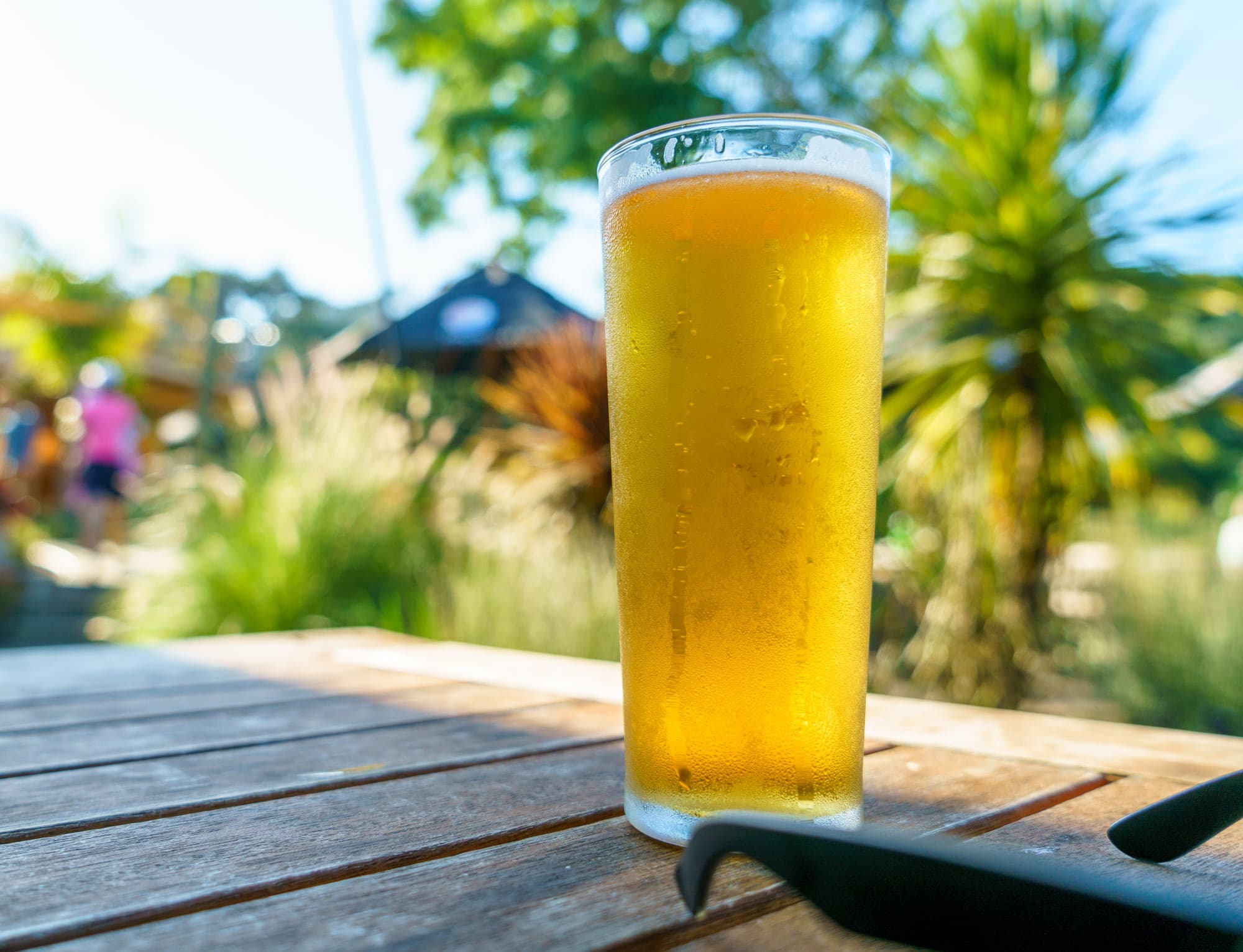 Coromandel Peninsula photo copyright-paulstamatiou_com-DSC08470