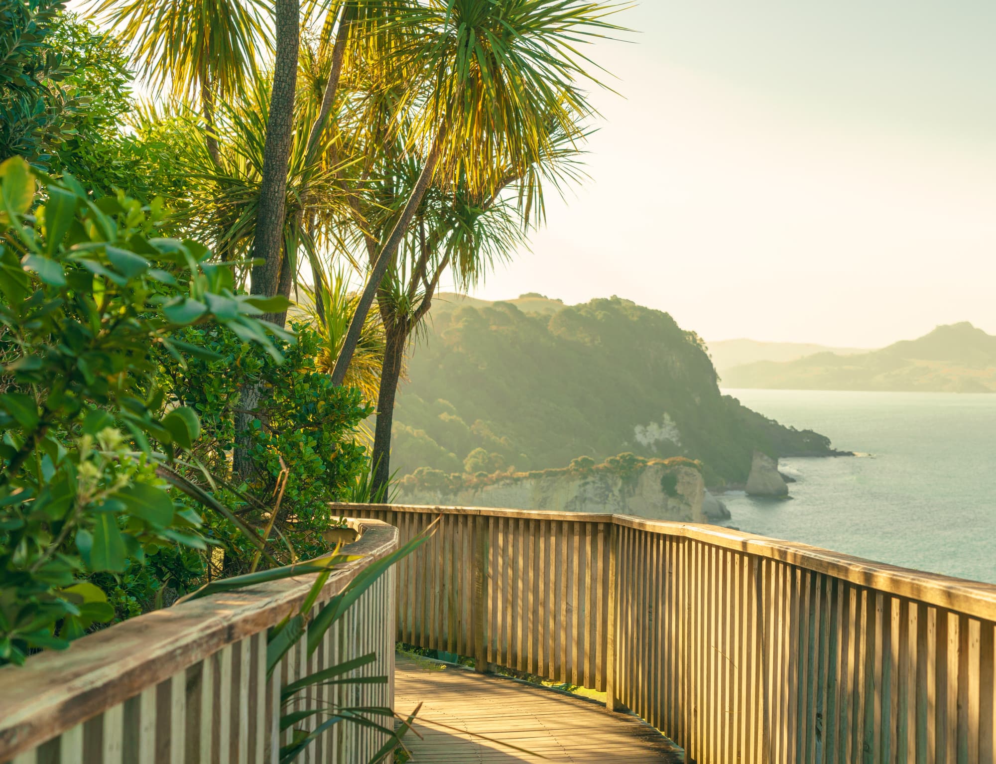 Coromandel Peninsula photo copyright-paulstamatiou_com-DSC08486