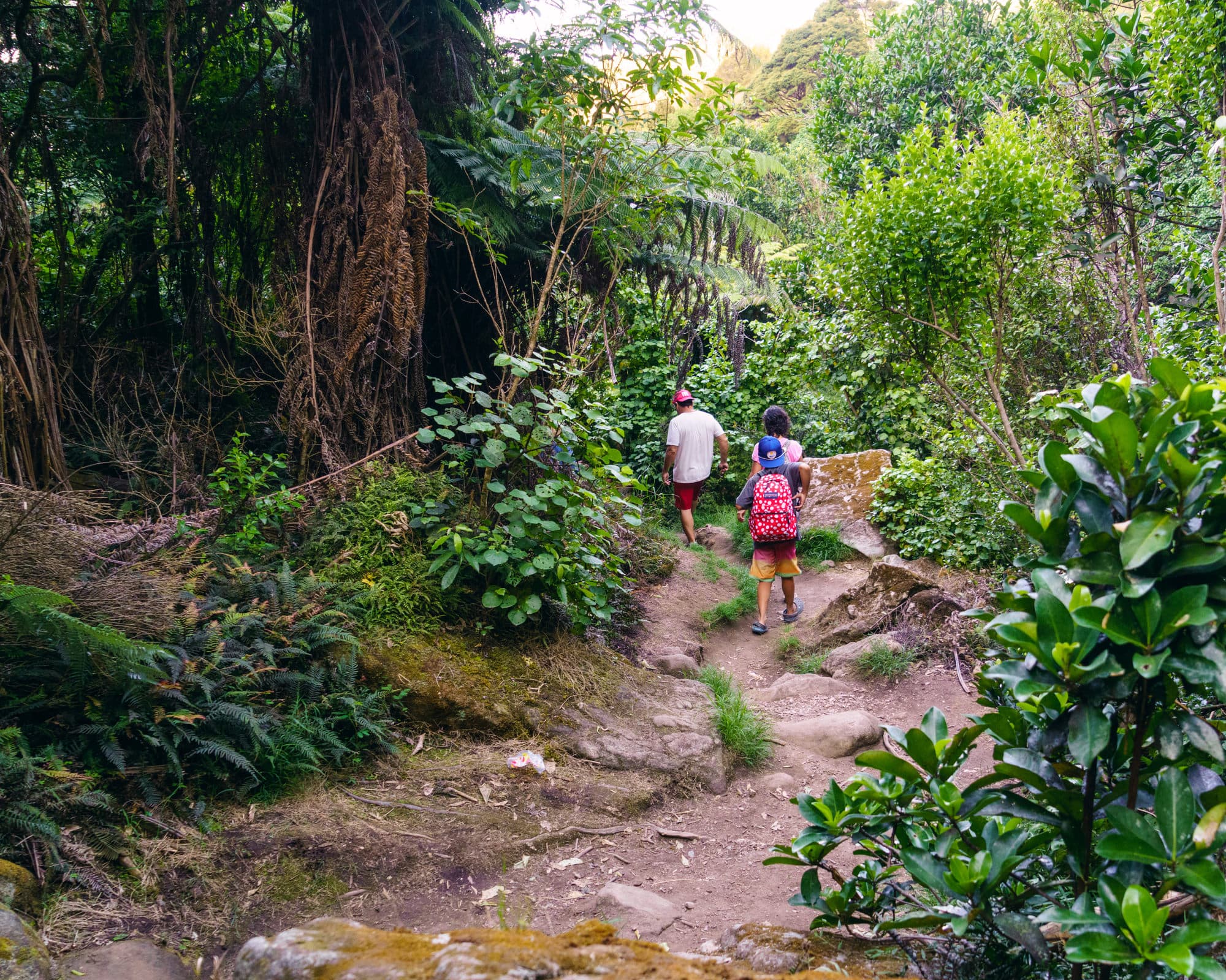Coromandel Peninsula photo copyright-paulstamatiou_com-DSC08503