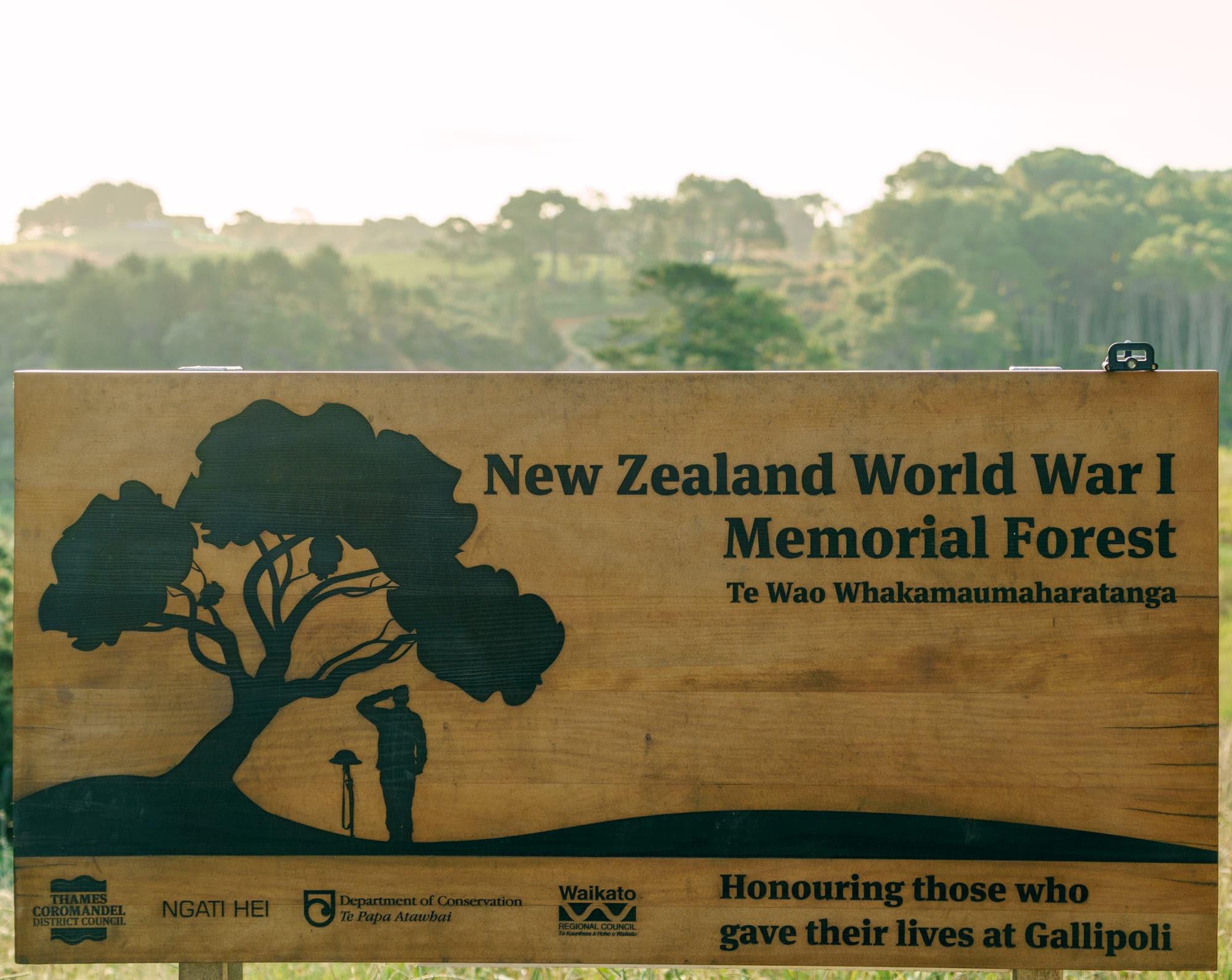 Coromandel Peninsula photo copyright-paulstamatiou_com-DSC08509