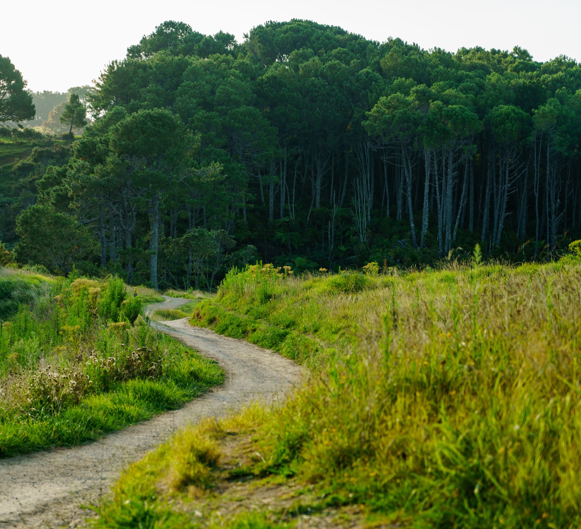 Coromandel Peninsula photo copyright-paulstamatiou_com-DSC08510