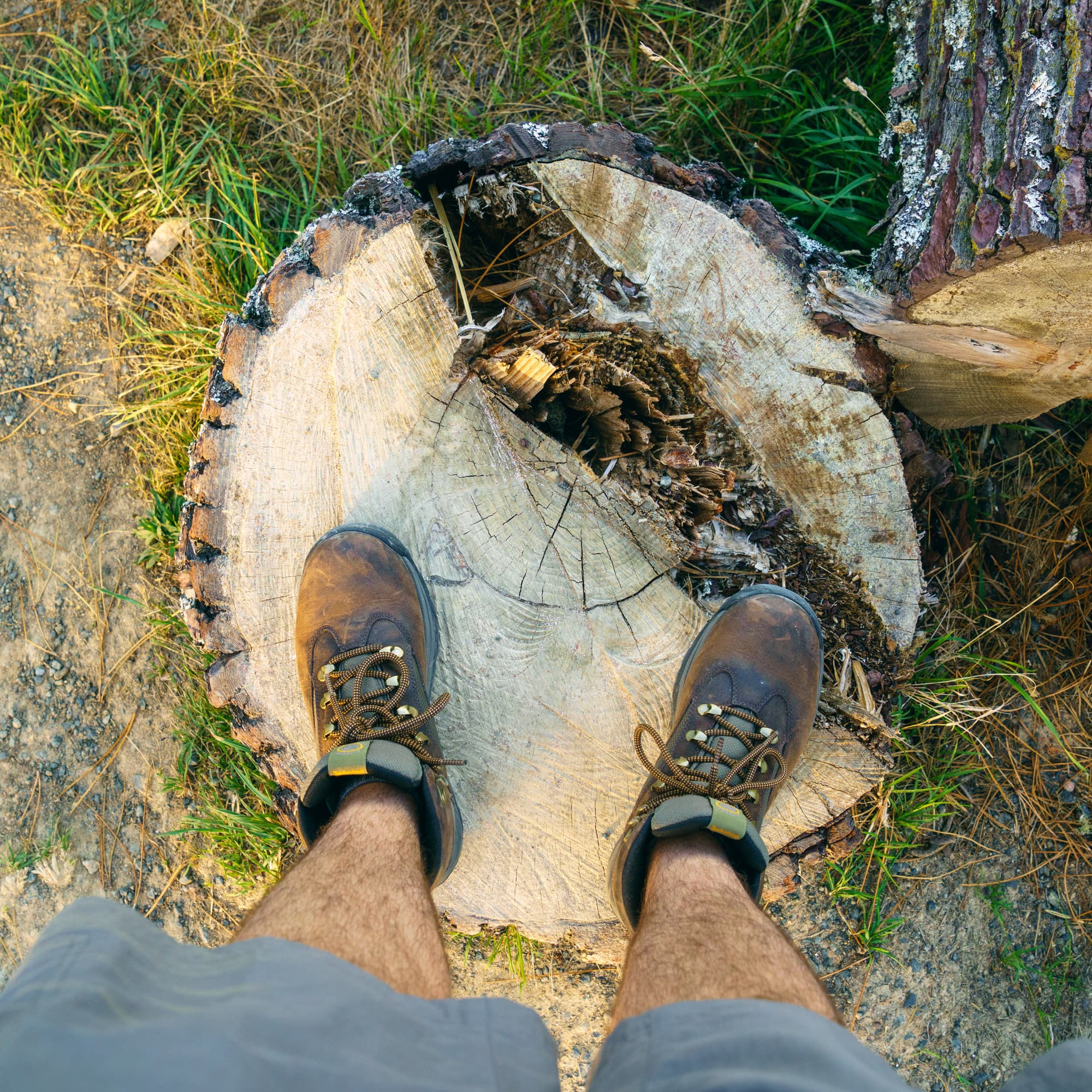 Coromandel Peninsula photo copyright-paulstamatiou_com-DSC08519