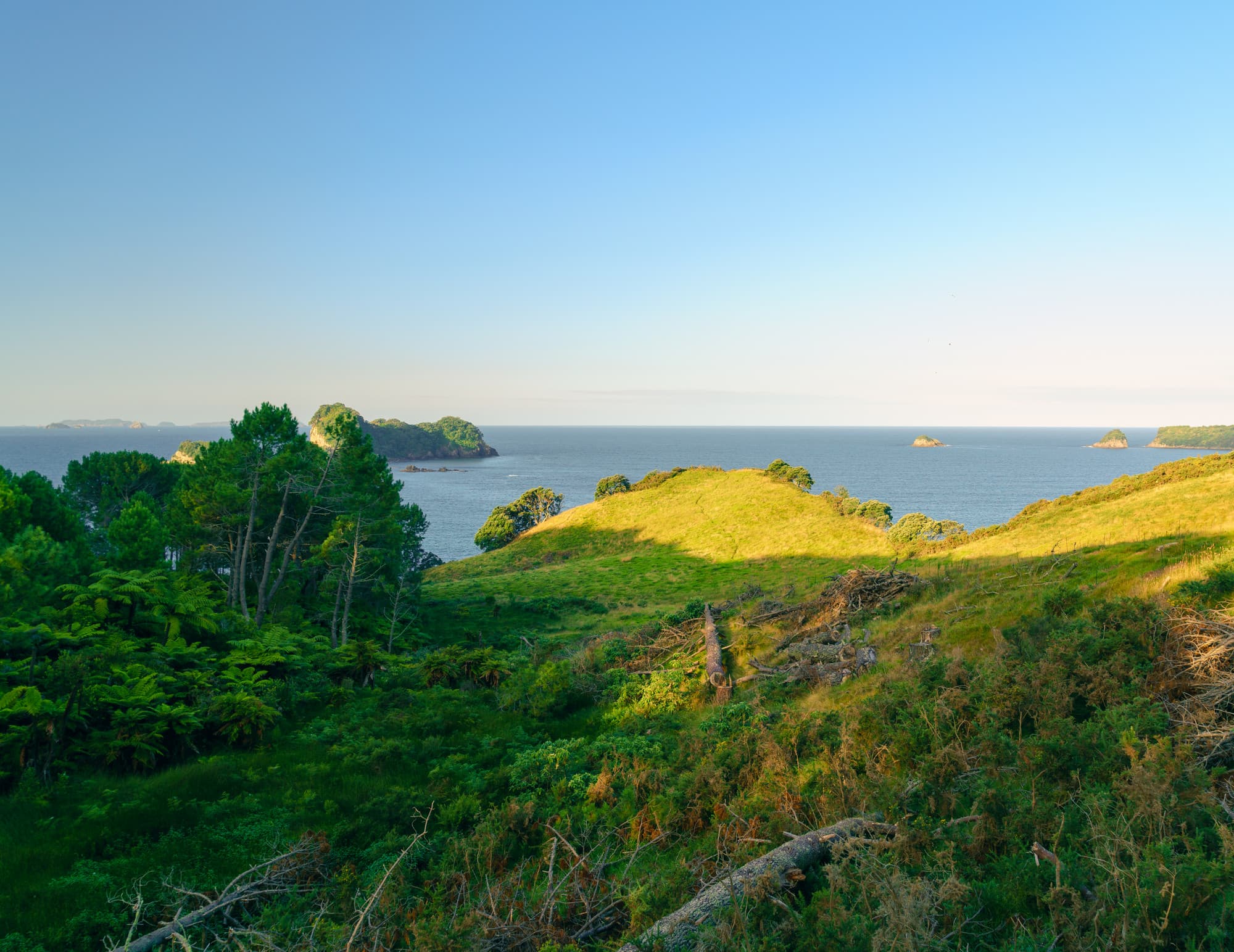Coromandel Peninsula photo copyright-paulstamatiou_com-DSC08520