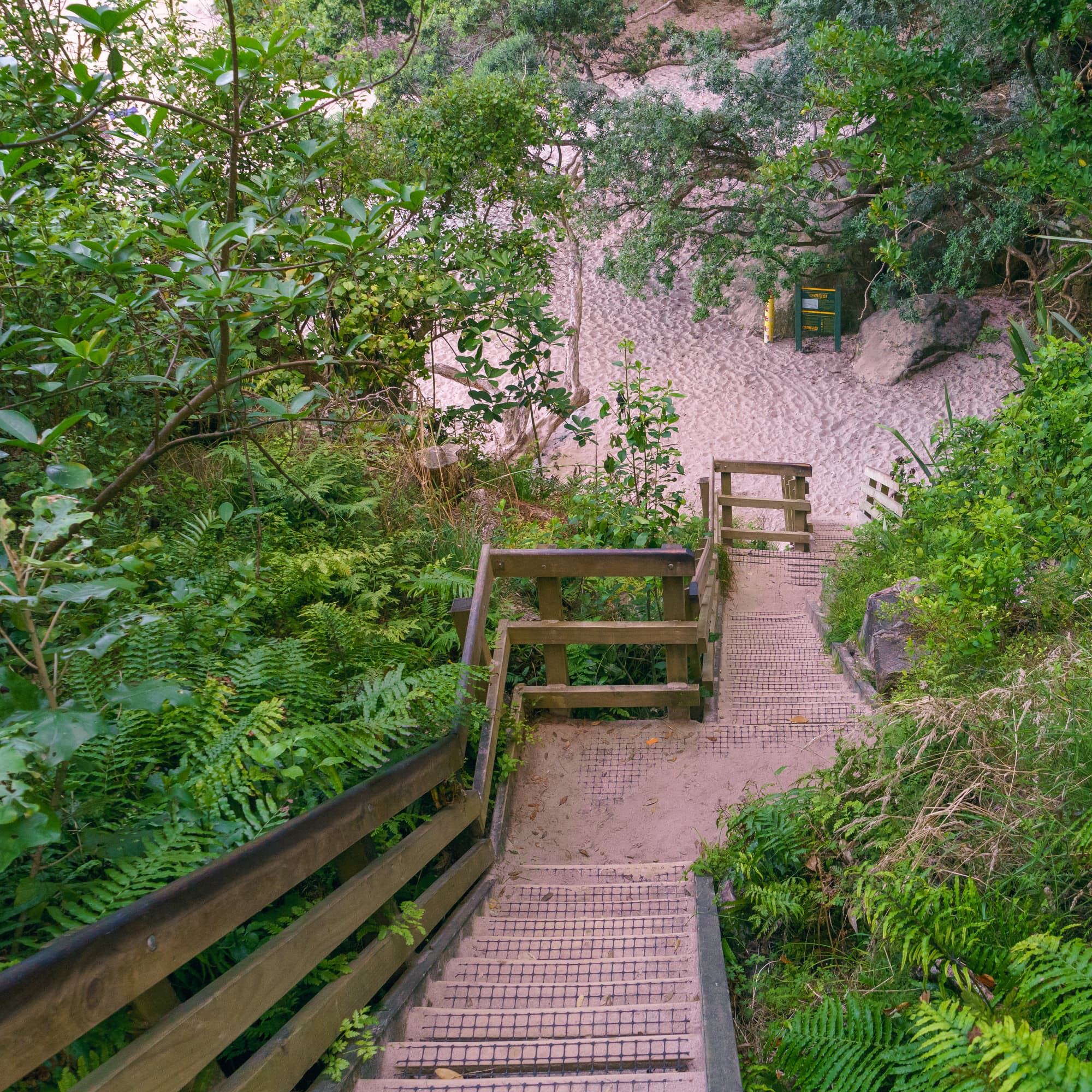 Coromandel Peninsula photo copyright-paulstamatiou_com-DSC08523