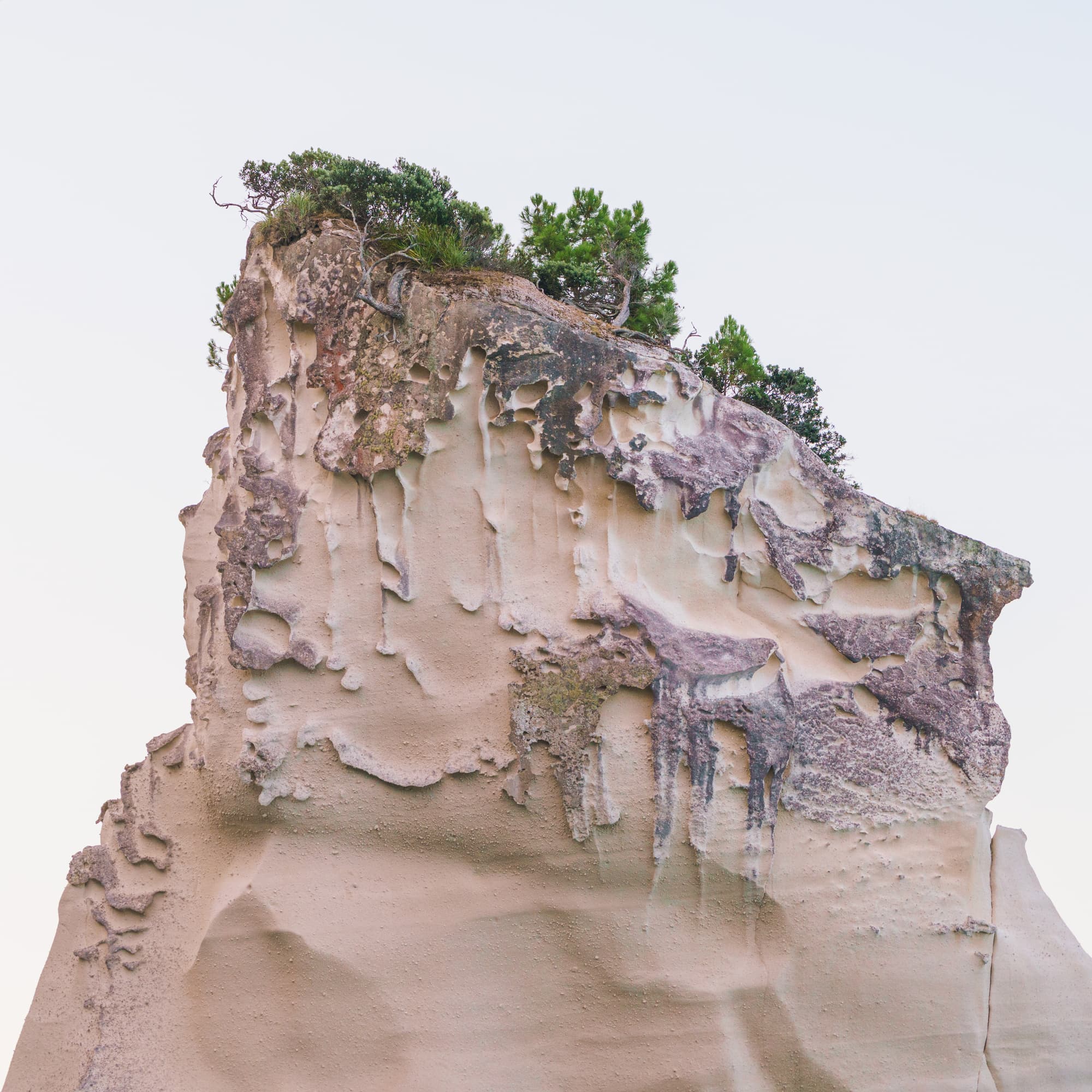 Coromandel Peninsula photo copyright-paulstamatiou_com-DSC08555