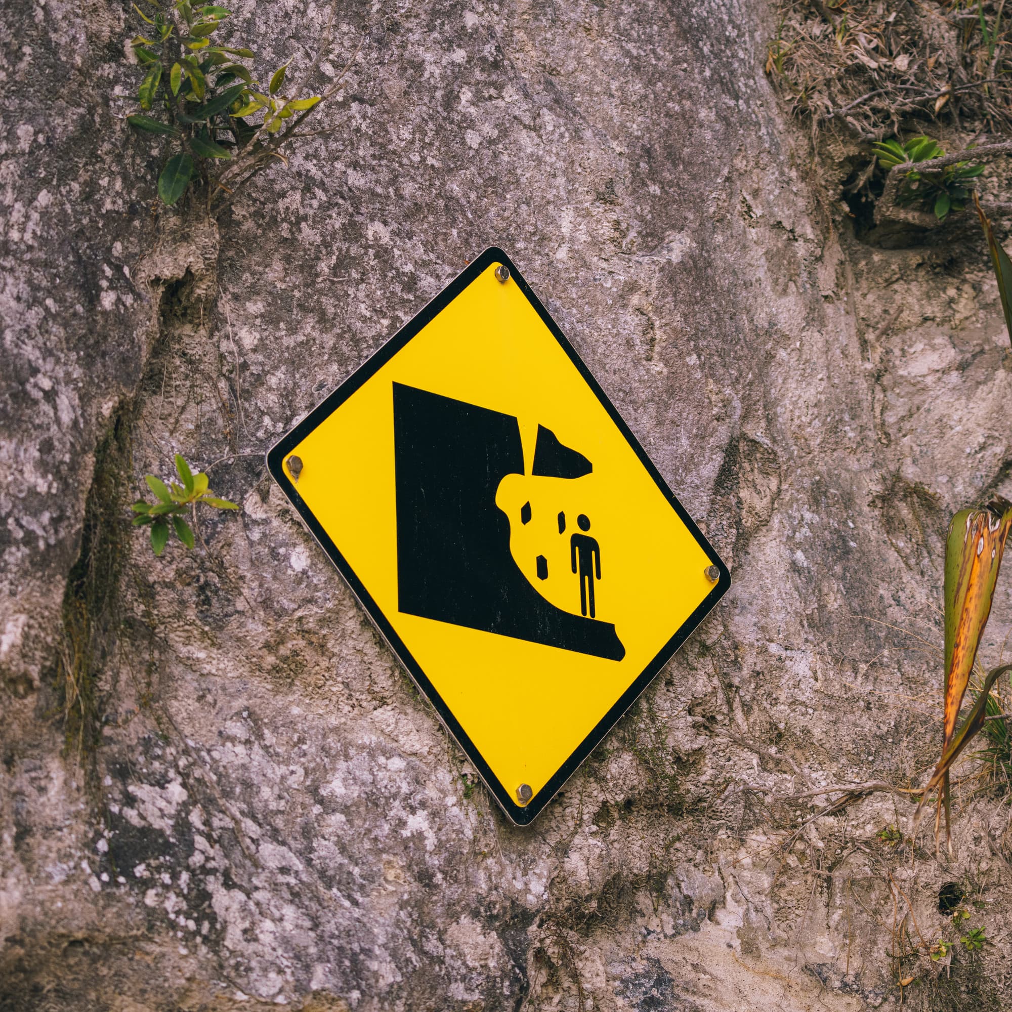 Coromandel Peninsula photo copyright-paulstamatiou_com-DSC08578