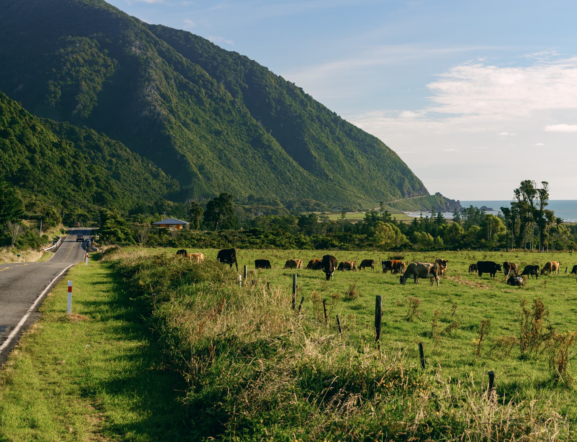 Franz Josef Glacier photo copyright-paulstamatiou_com-DSC02616