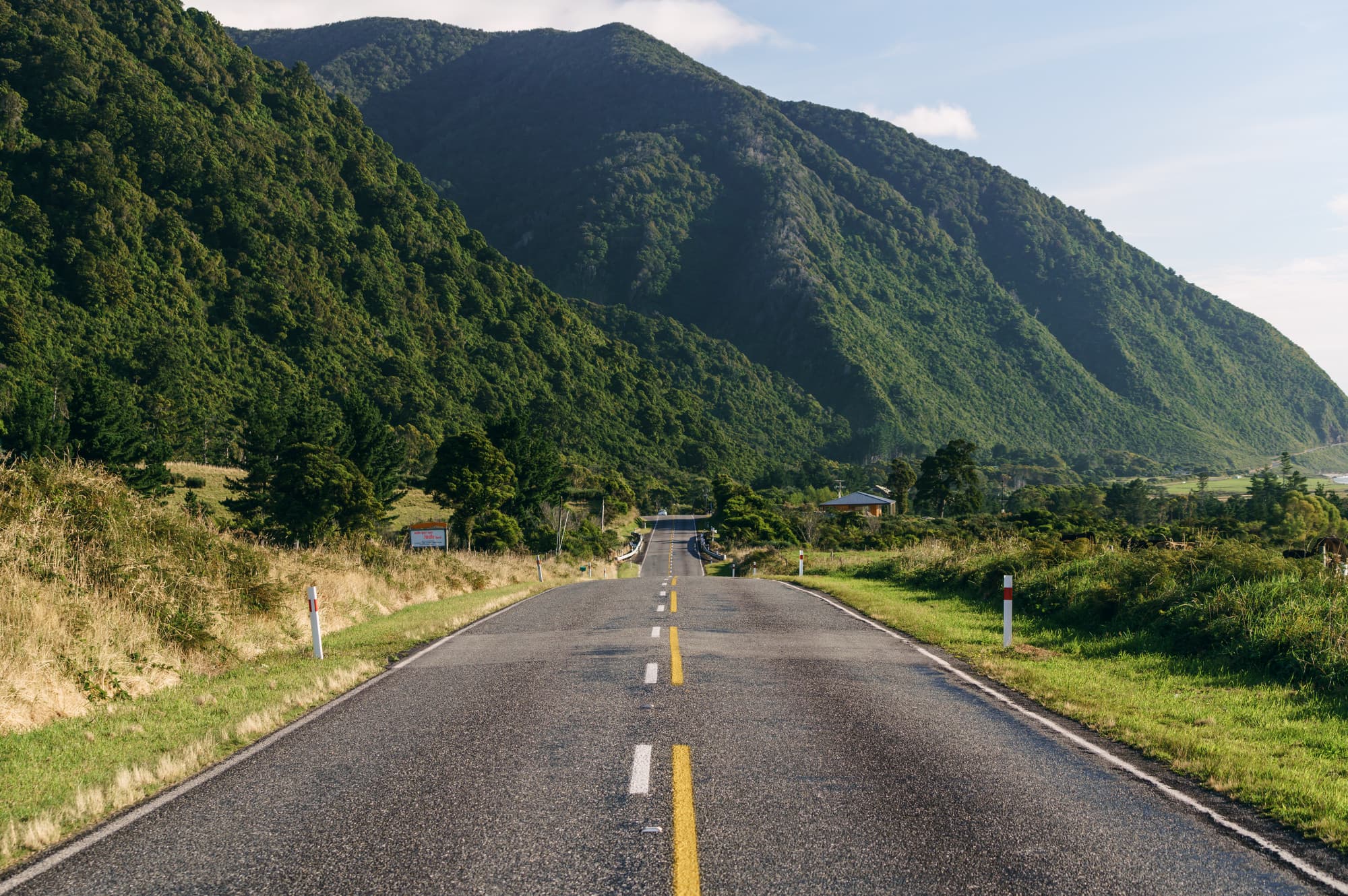 Franz Josef Glacier photo copyright-paulstamatiou_com-DSC02628