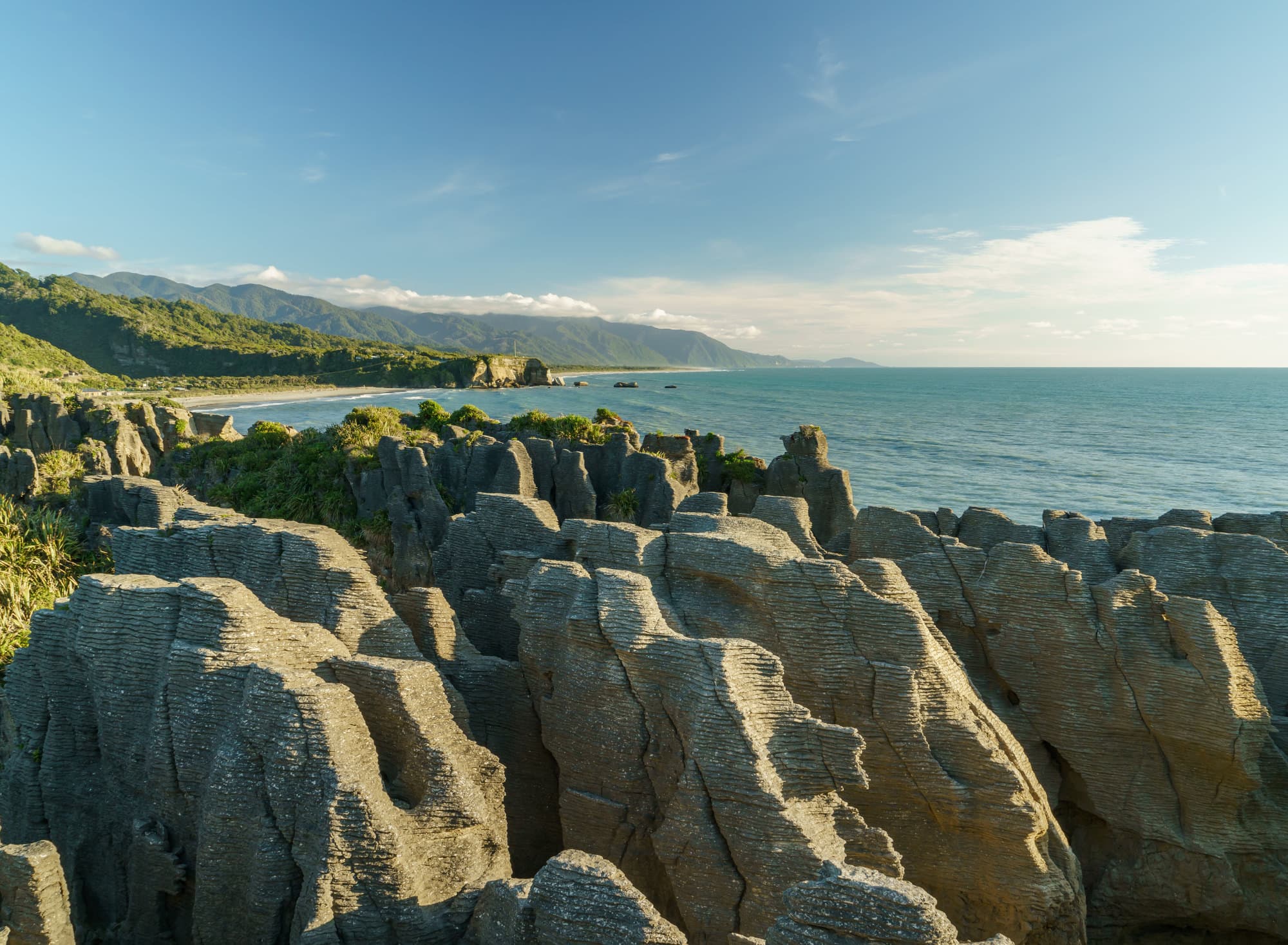 Franz Josef Glacier photo copyright-paulstamatiou_com-DSC02687-HDR