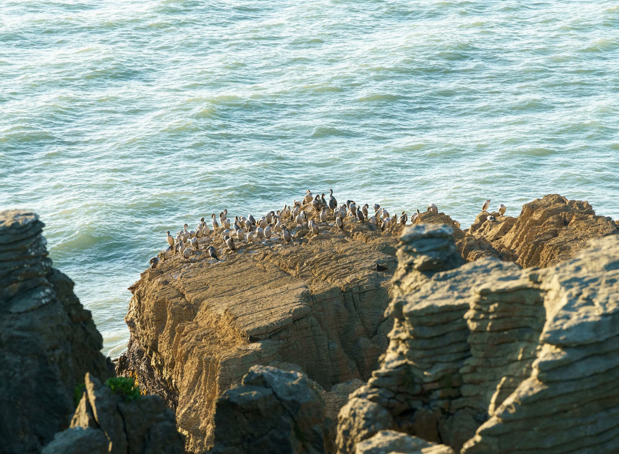 Franz Josef Glacier photo copyright-paulstamatiou_com-DSC02697