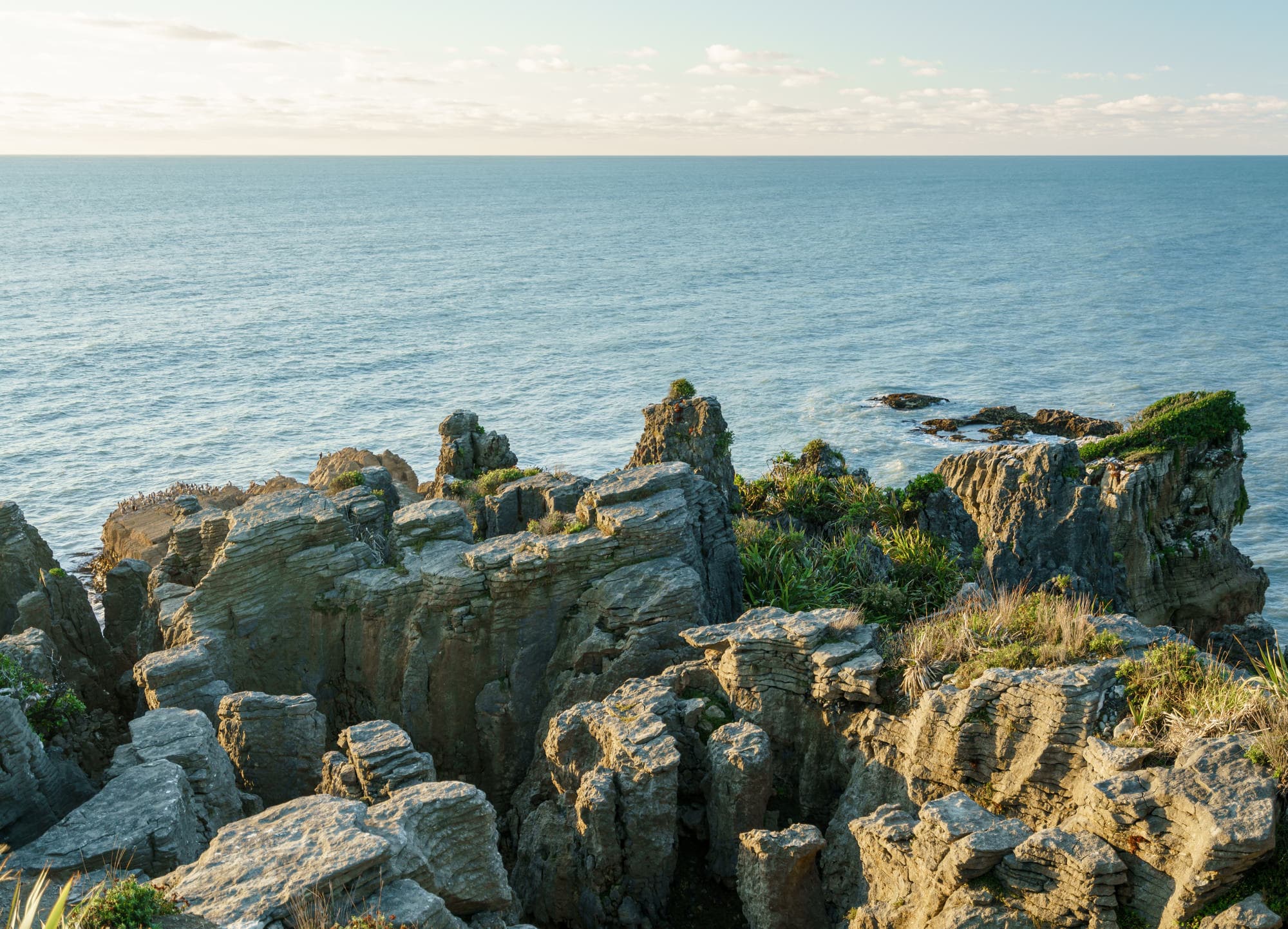 Franz Josef Glacier photo copyright-paulstamatiou_com-DSC02781-HDR