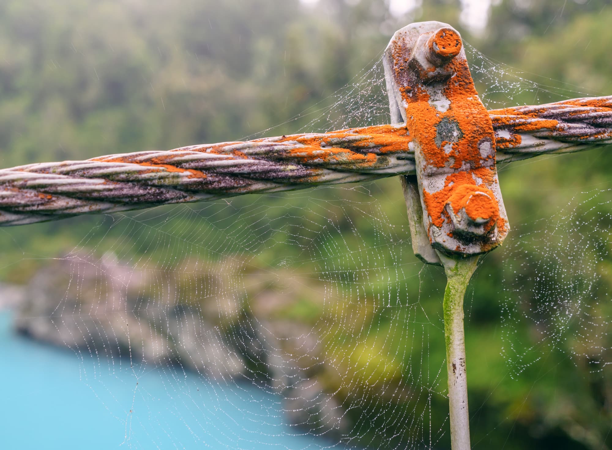 Franz Josef Glacier photo copyright-paulstamatiou_com-DSC03088