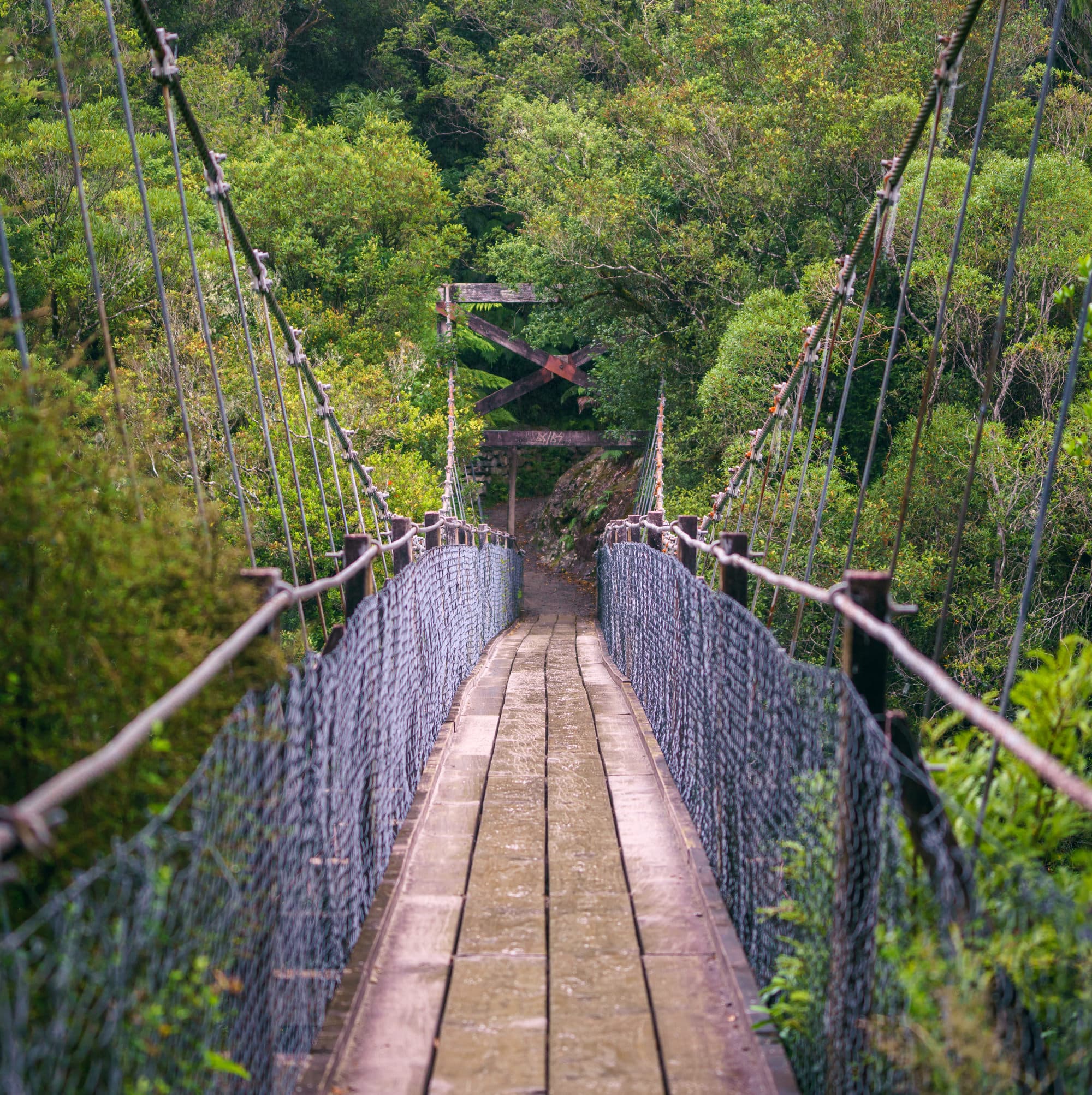 Franz Josef Glacier photo copyright-paulstamatiou_com-DSC03132
