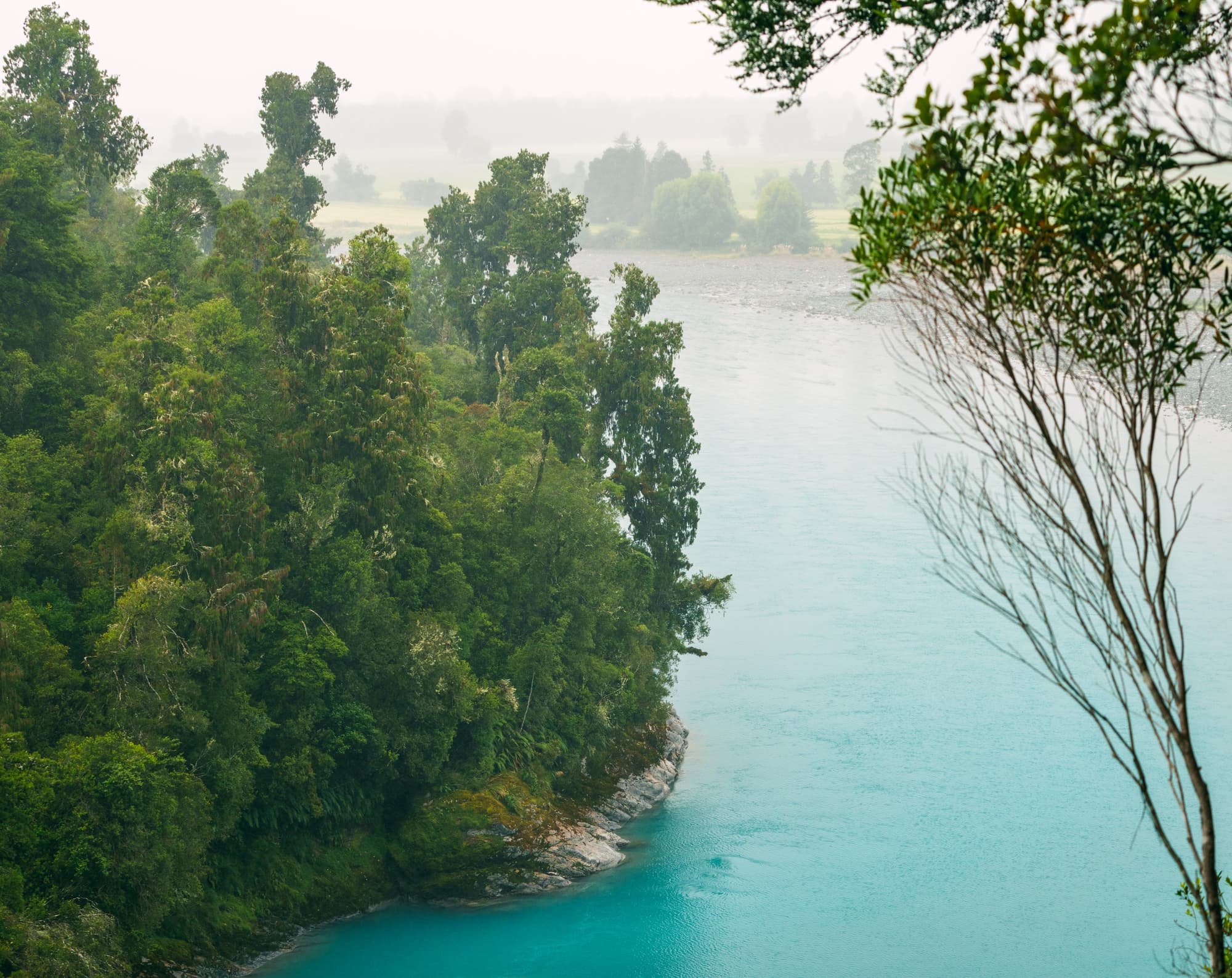Franz Josef Glacier photo copyright-paulstamatiou_com-DSC03146