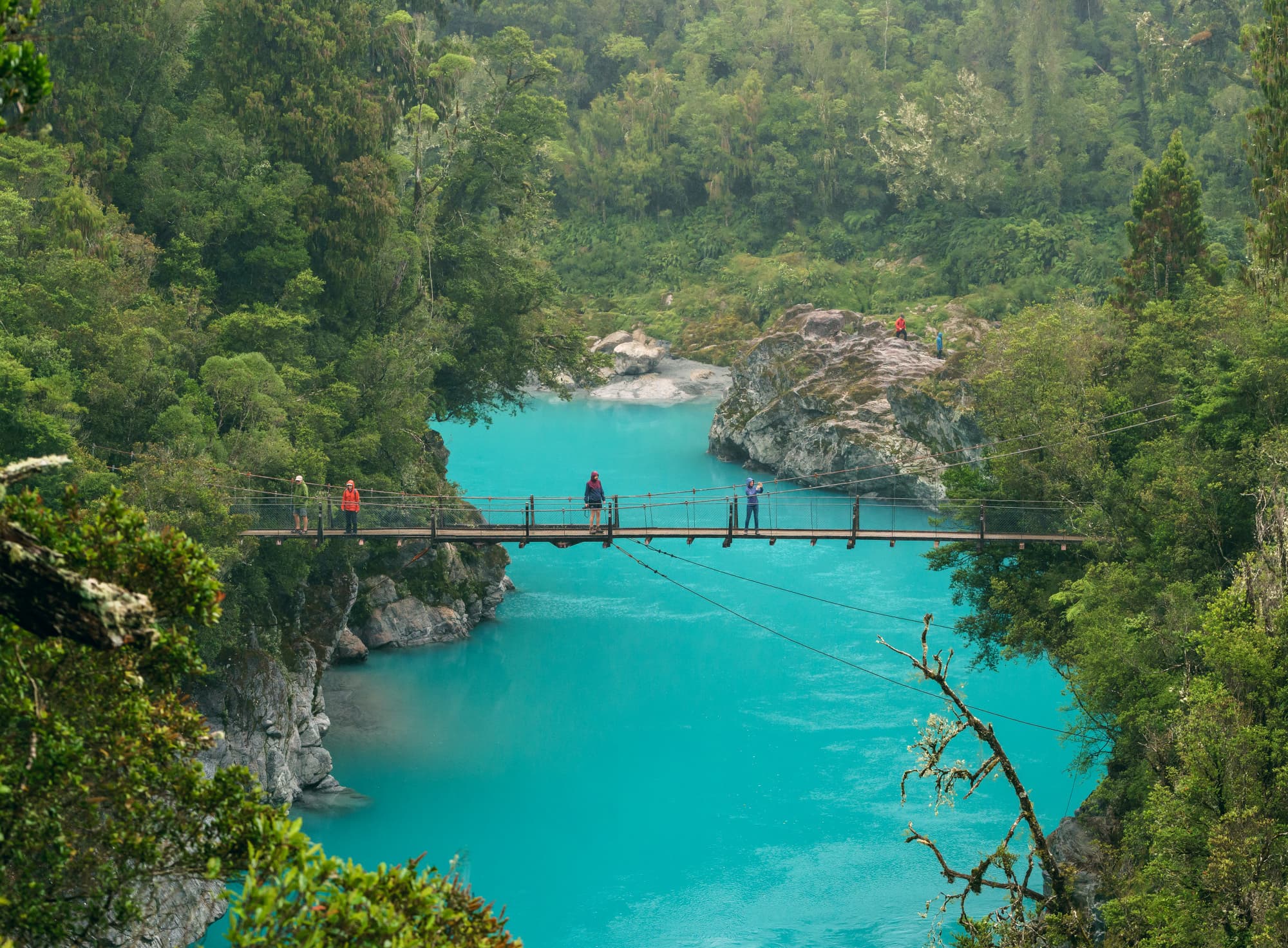Franz Josef Glacier photo copyright-paulstamatiou_com-DSC03147