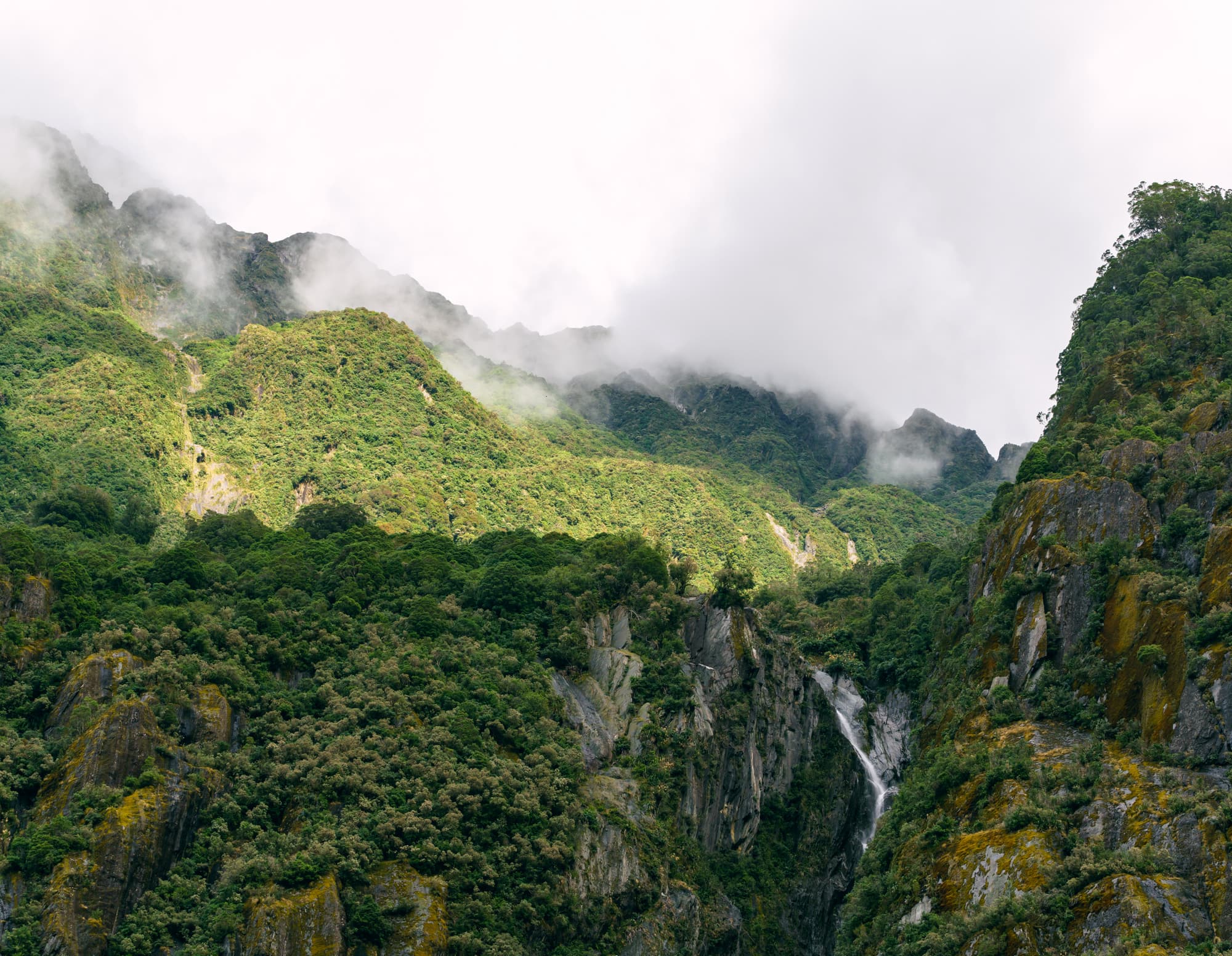 Franz Josef Glacier photo copyright-paulstamatiou_com-DSC03445