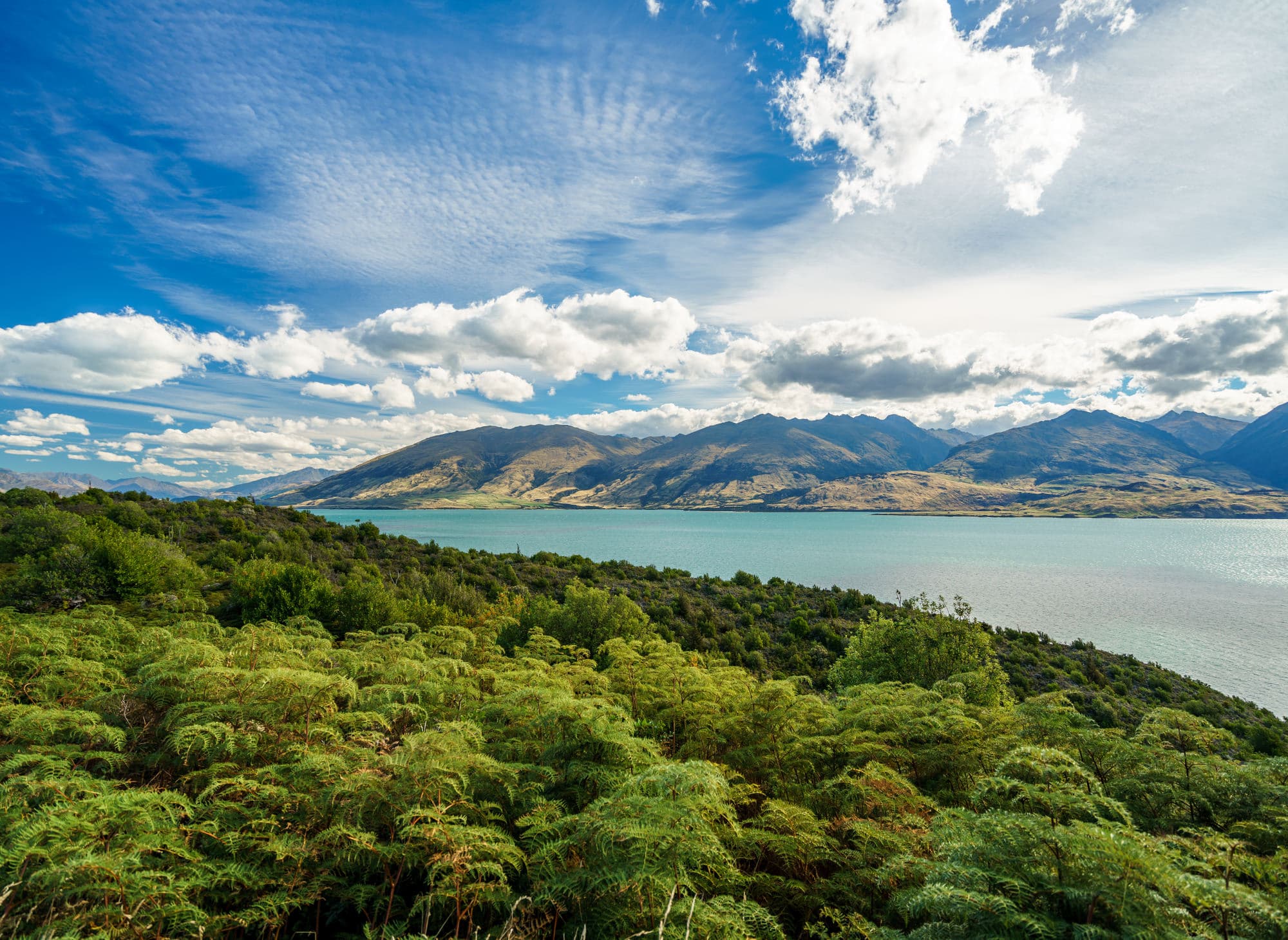 Franz Josef Glacier photo copyright-paulstamatiou_com-DSC03642-HDR