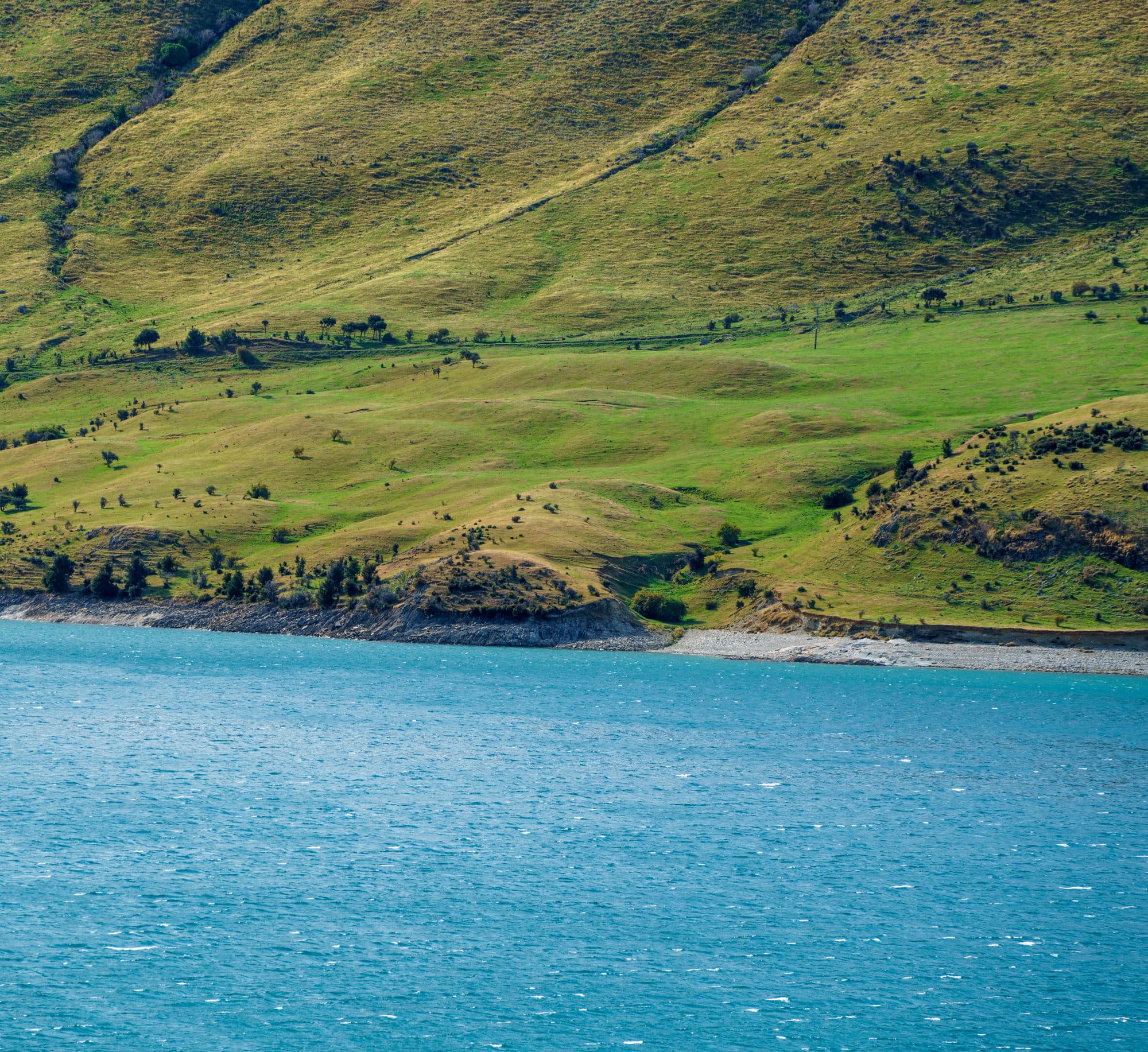 Franz Josef Glacier photo copyright-paulstamatiou_com-DSC03699