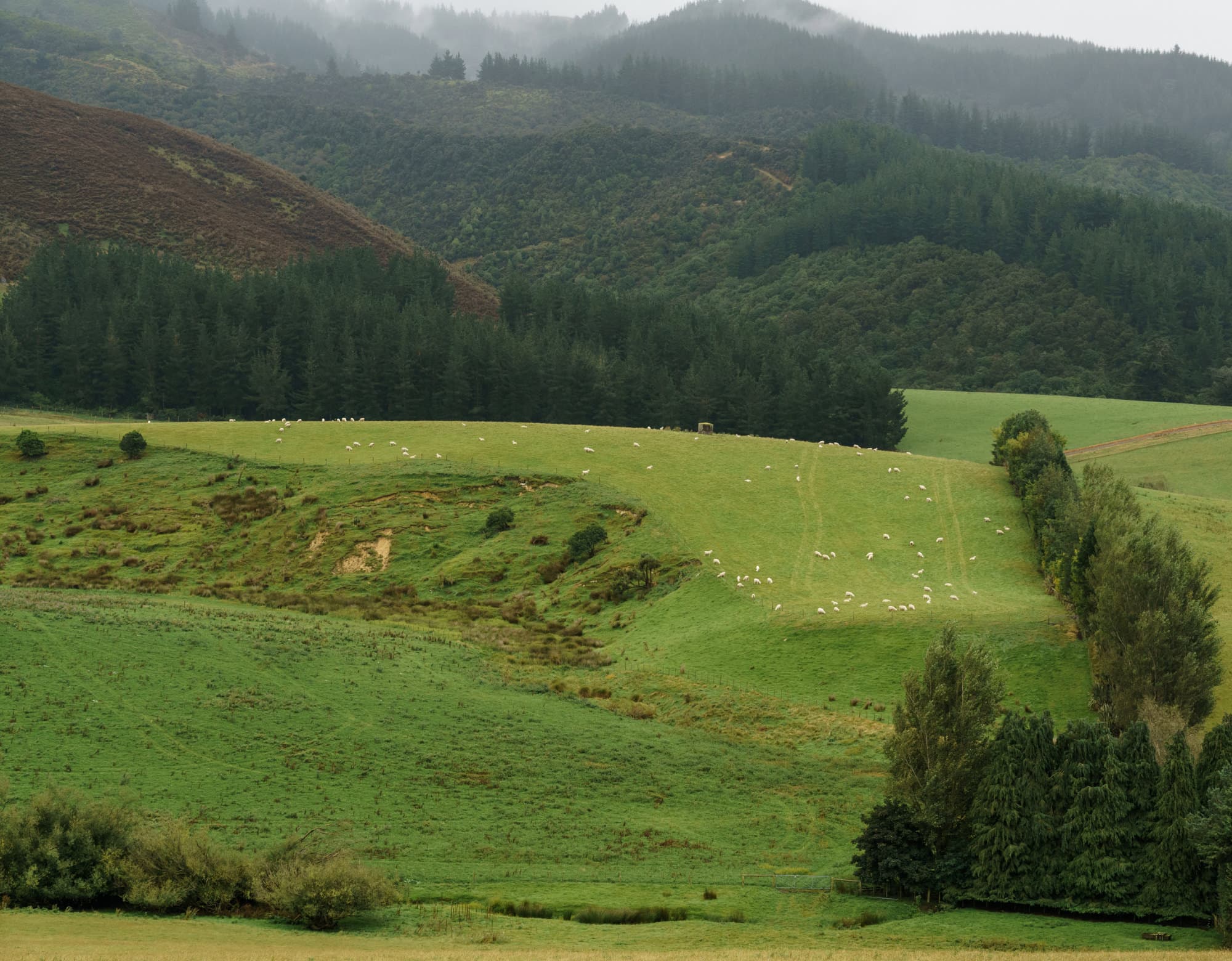Mount Cook to Christchurch photo copyright-paulstamatiou_com-DSC07381