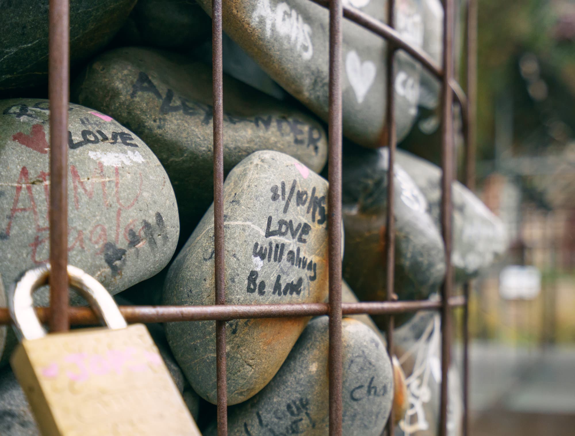 Mount Cook to Christchurch photo copyright-paulstamatiou_com-DSC07416