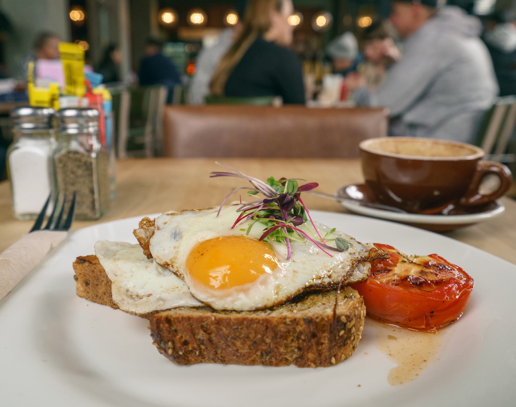 Mount Cook to Christchurch photo copyright-paulstamatiou_com-DSC07611