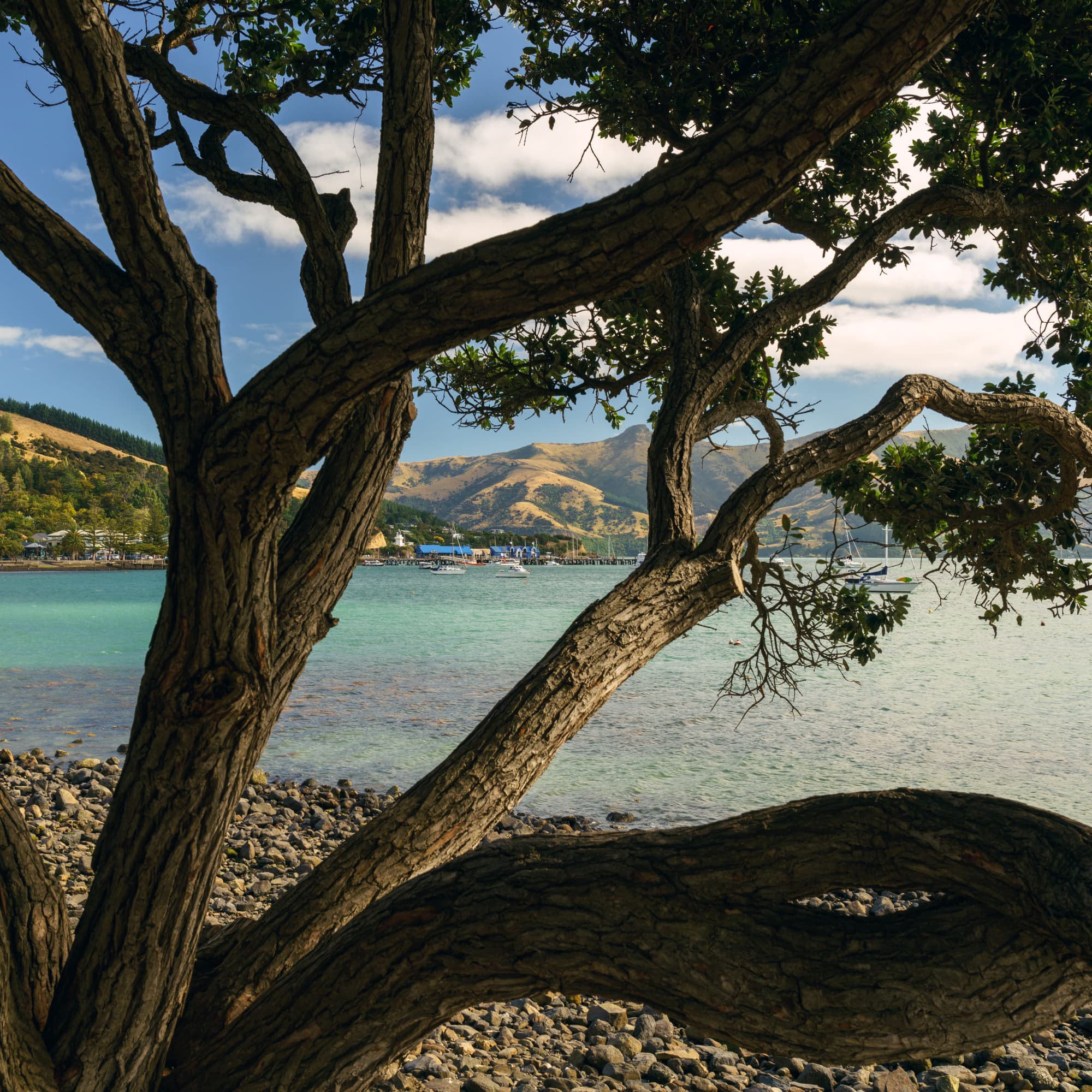 Mount Cook to Christchurch photo copyright-paulstamatiou_com-DSC07939