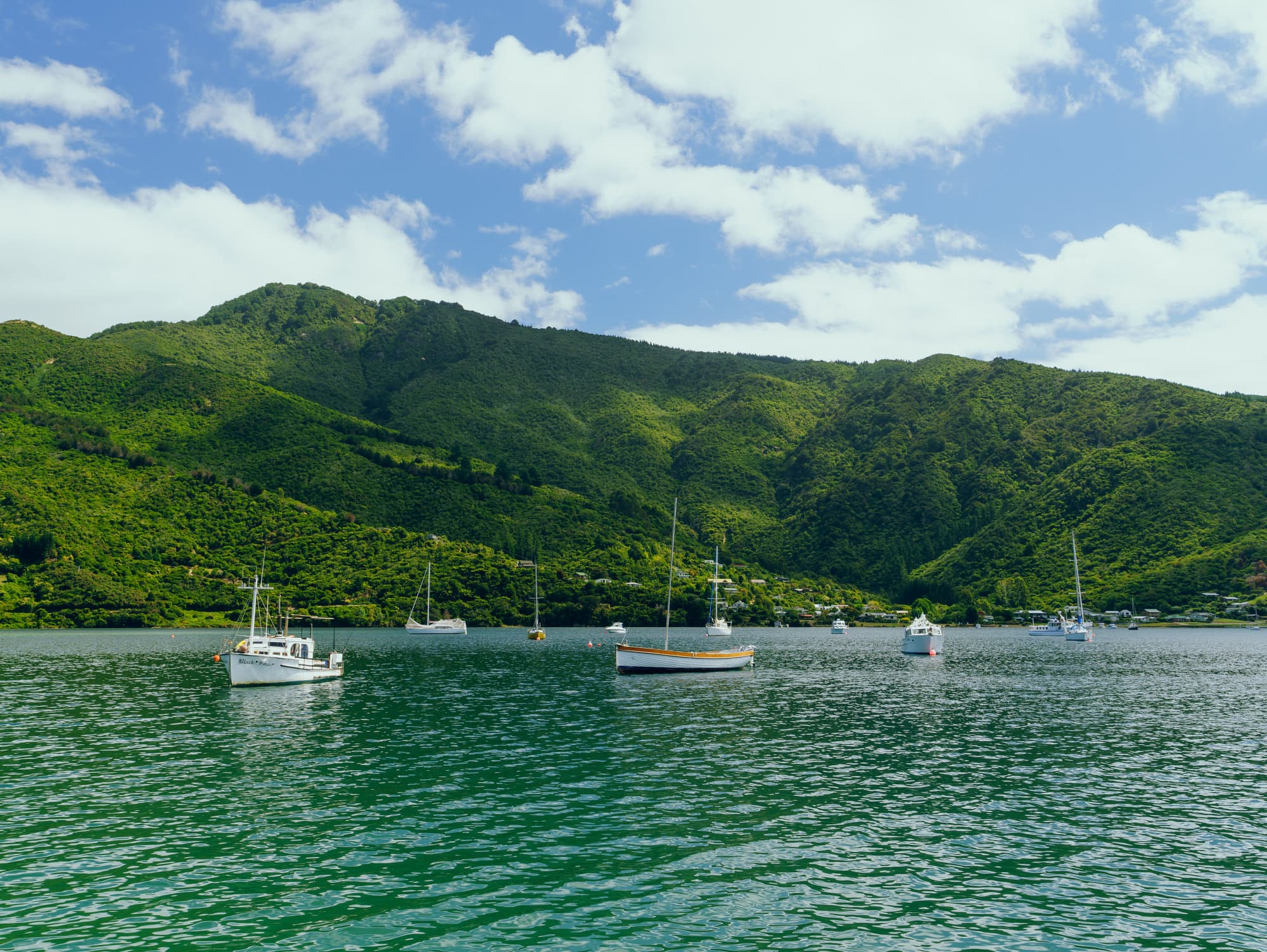Nelson Lakes & Wharariki Beach photo copyright-paulstamatiou_com-DSC01227