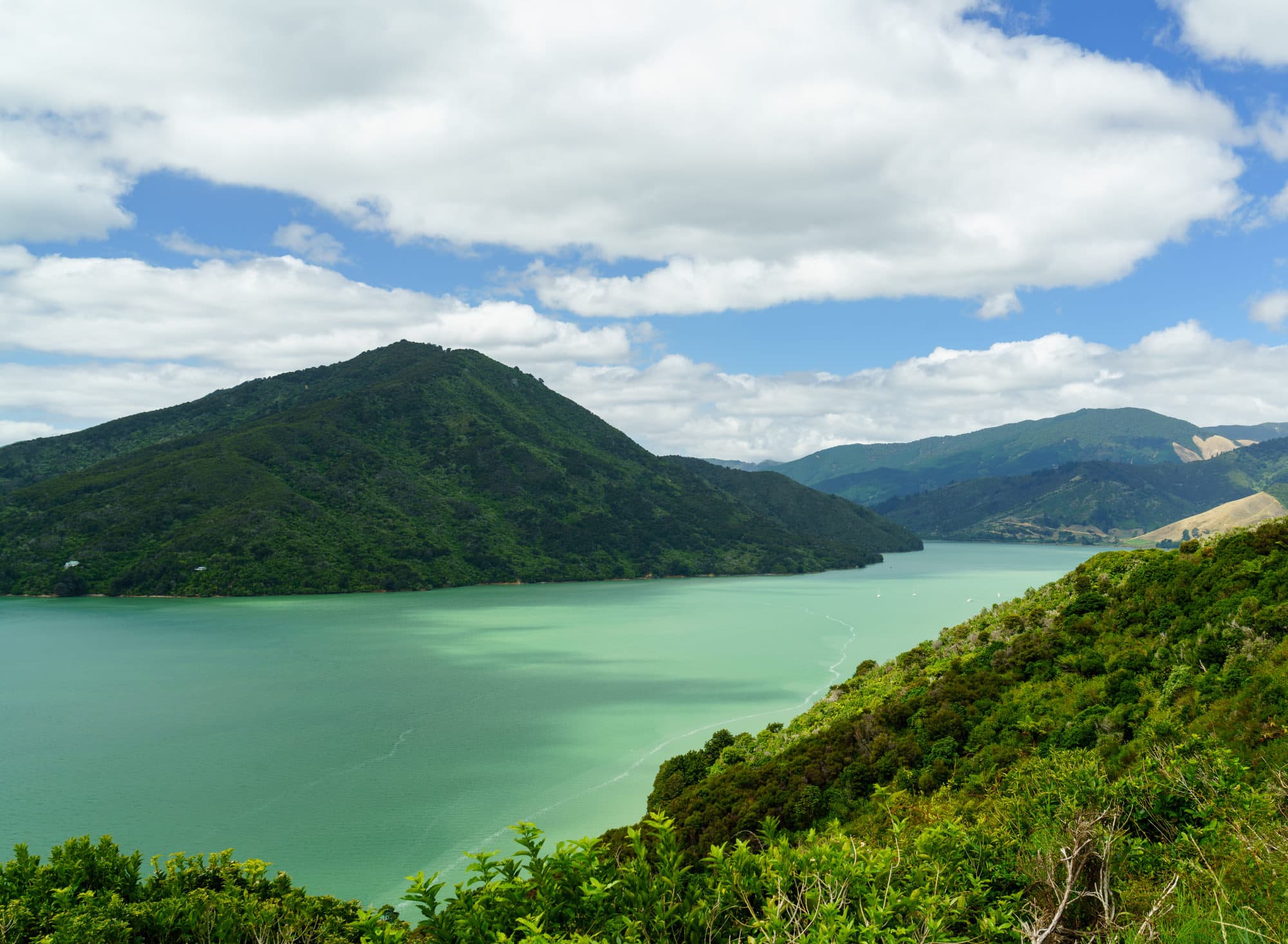 Nelson Lakes & Wharariki Beach photo copyright-paulstamatiou_com-DSC01248