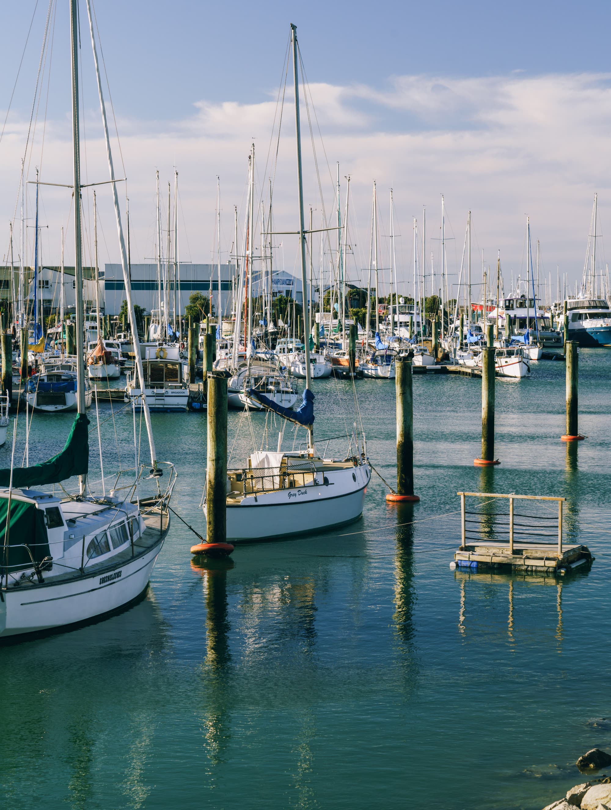 Nelson Lakes & Wharariki Beach photo copyright-paulstamatiou_com-DSC01306