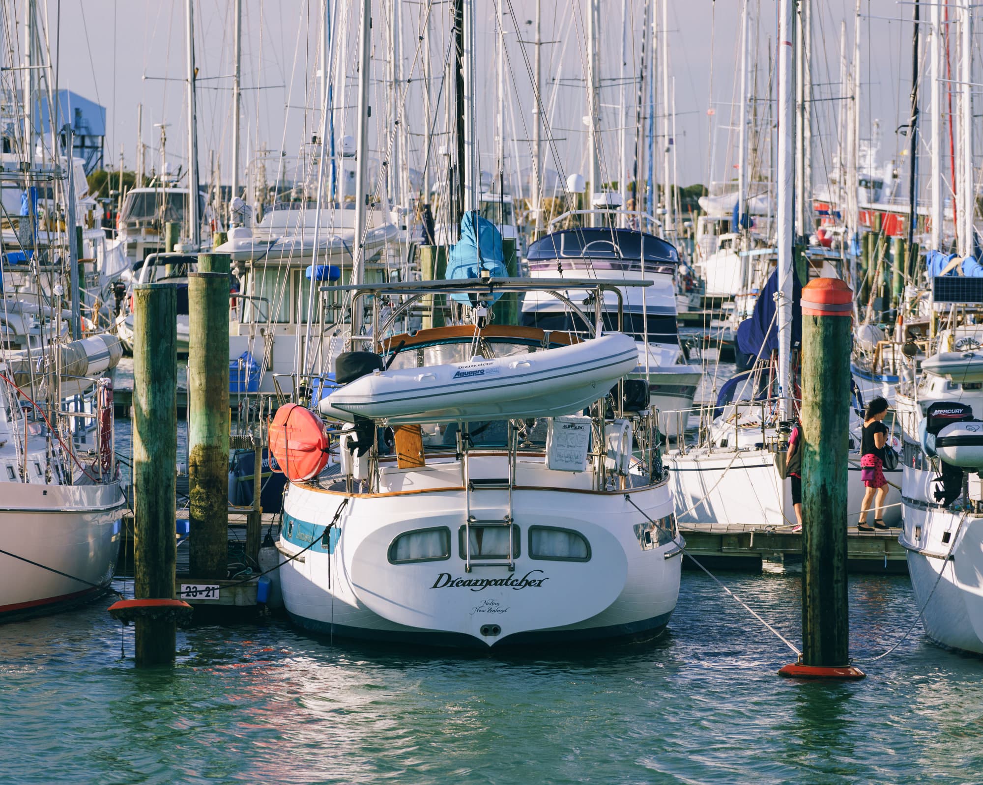 Nelson Lakes & Wharariki Beach photo copyright-paulstamatiou_com-DSC01332