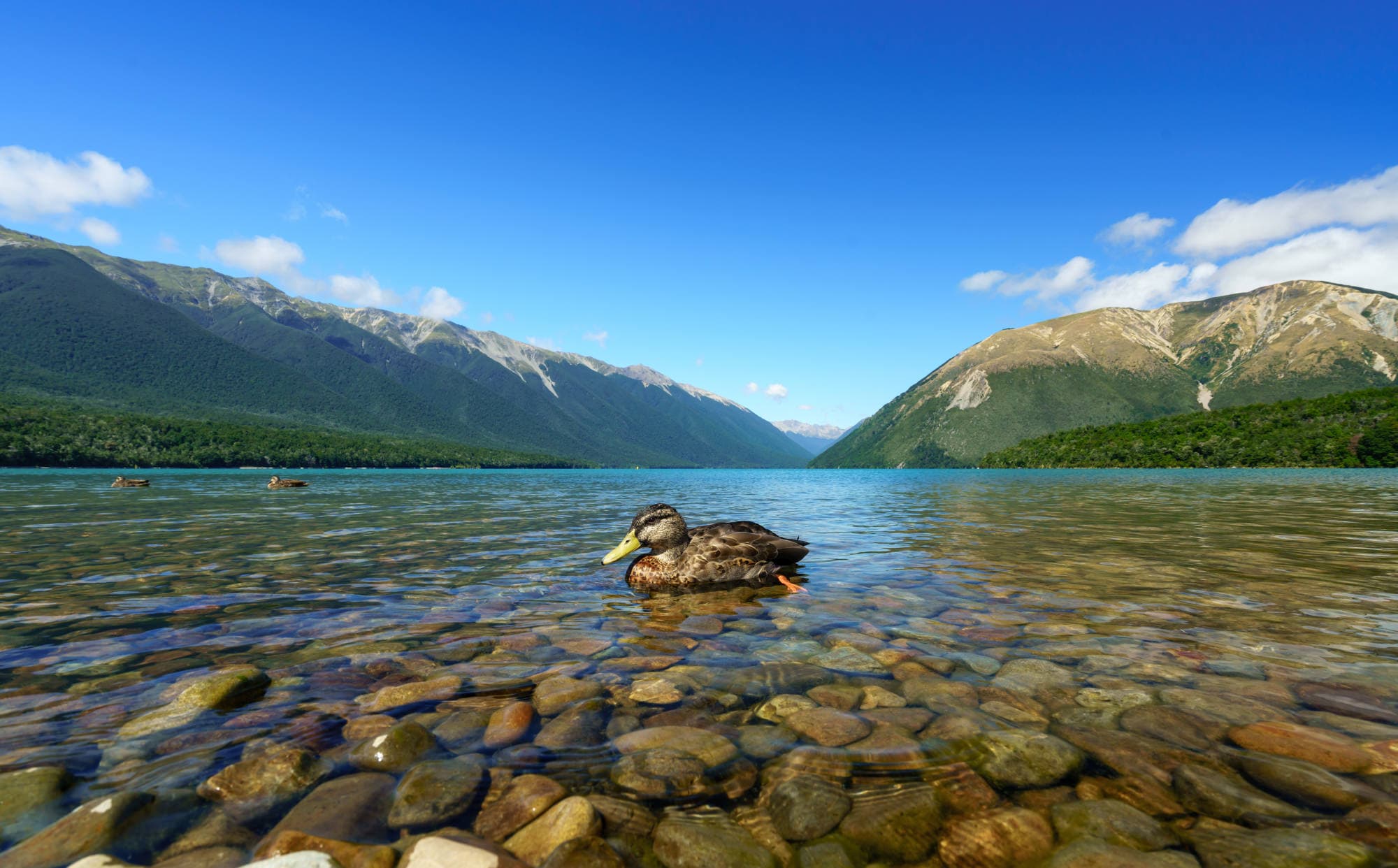 Nelson Lakes & Wharariki Beach photo copyright-paulstamatiou_com-DSC01595