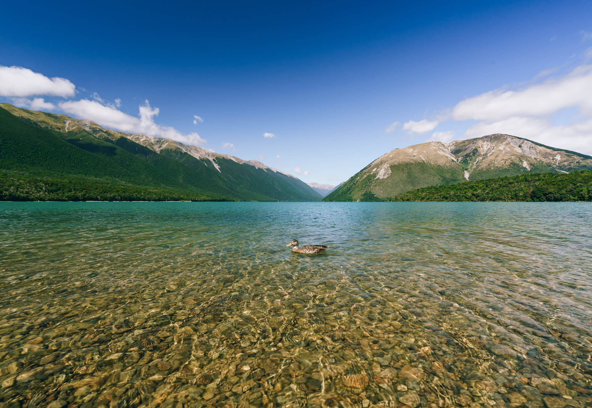 Nelson Lakes & Wharariki Beach photo copyright-paulstamatiou_com-DSC01621
