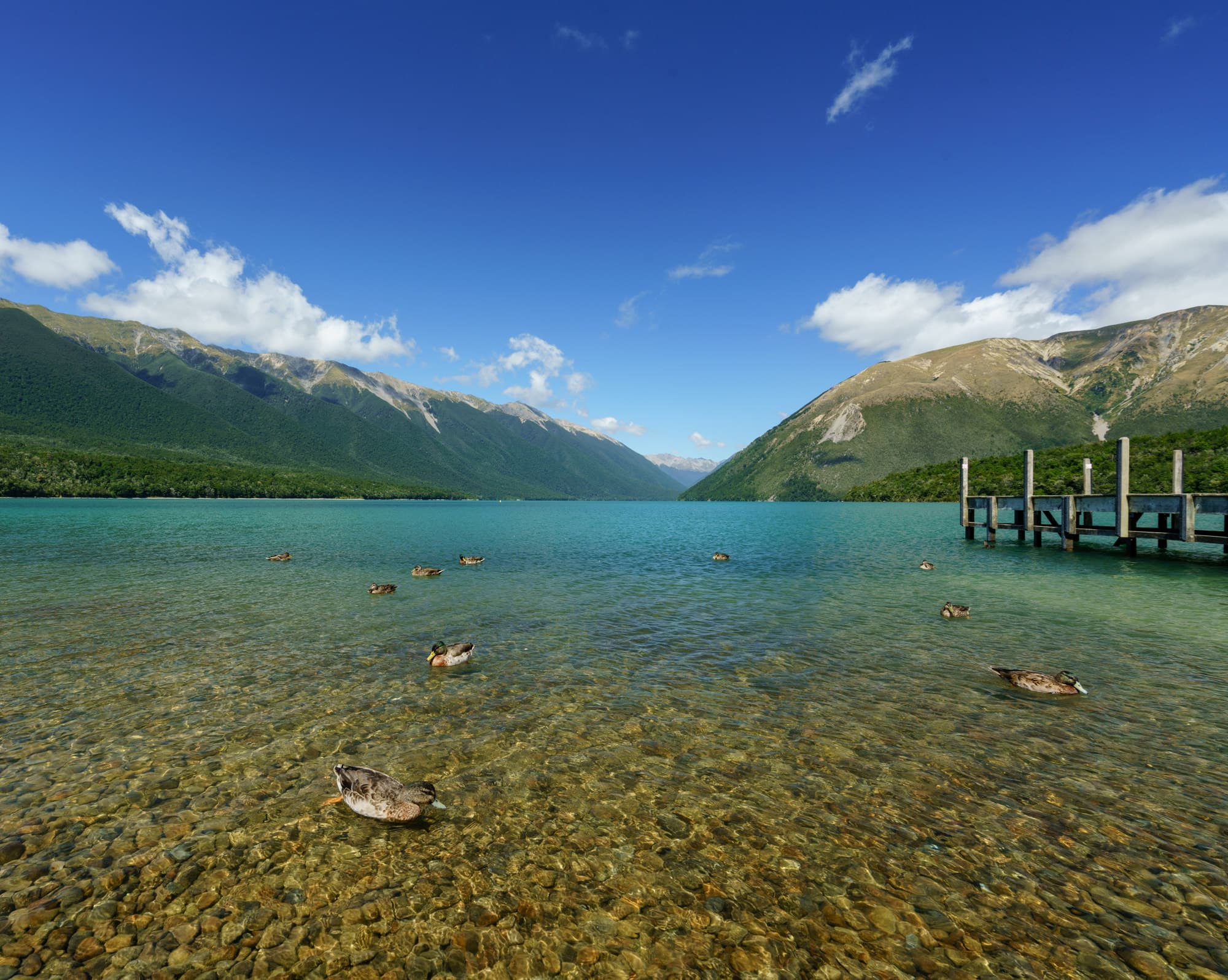 Nelson Lakes & Wharariki Beach photo copyright-paulstamatiou_com-DSC01693