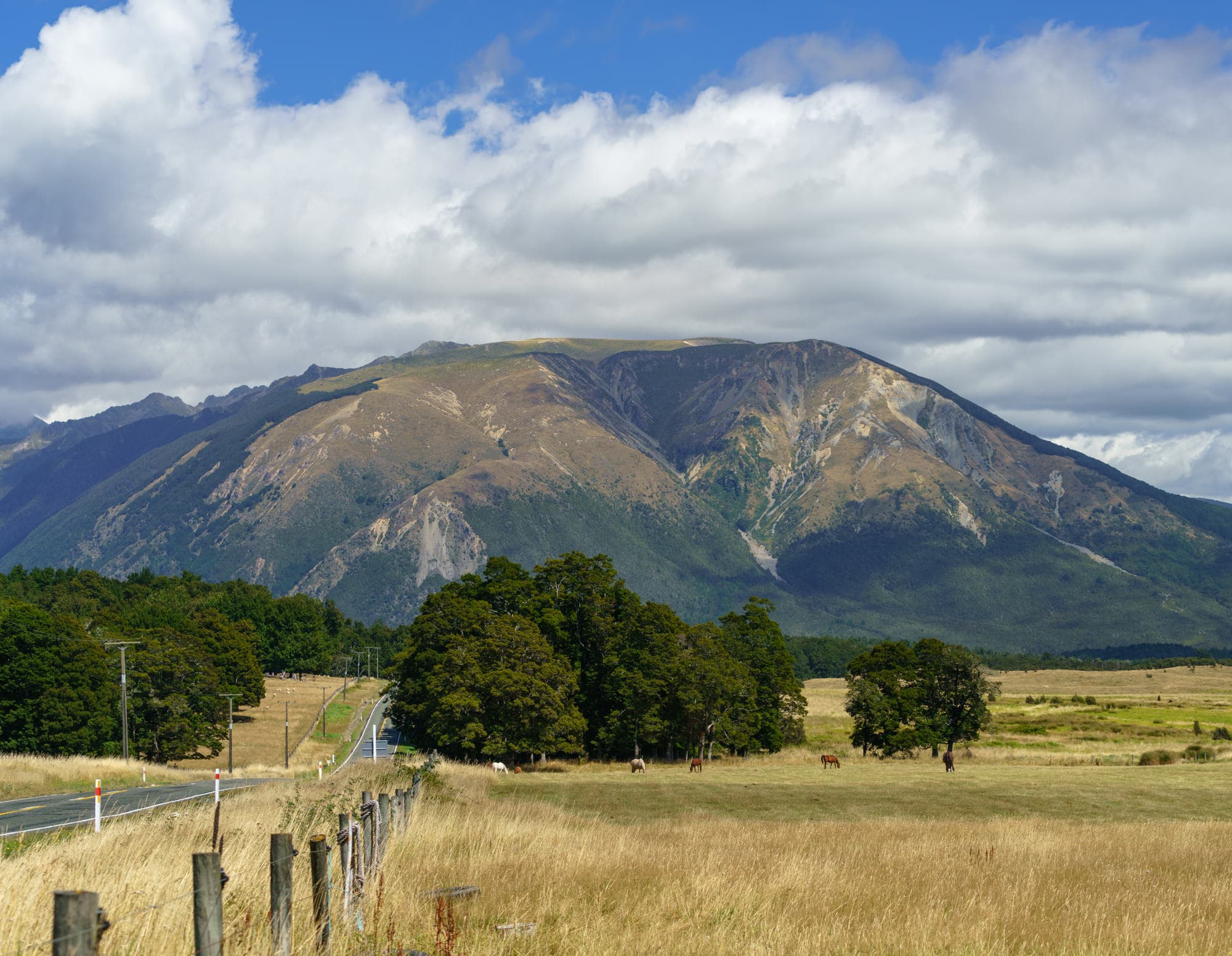 Nelson Lakes & Wharariki Beach photo copyright-paulstamatiou_com-DSC01725
