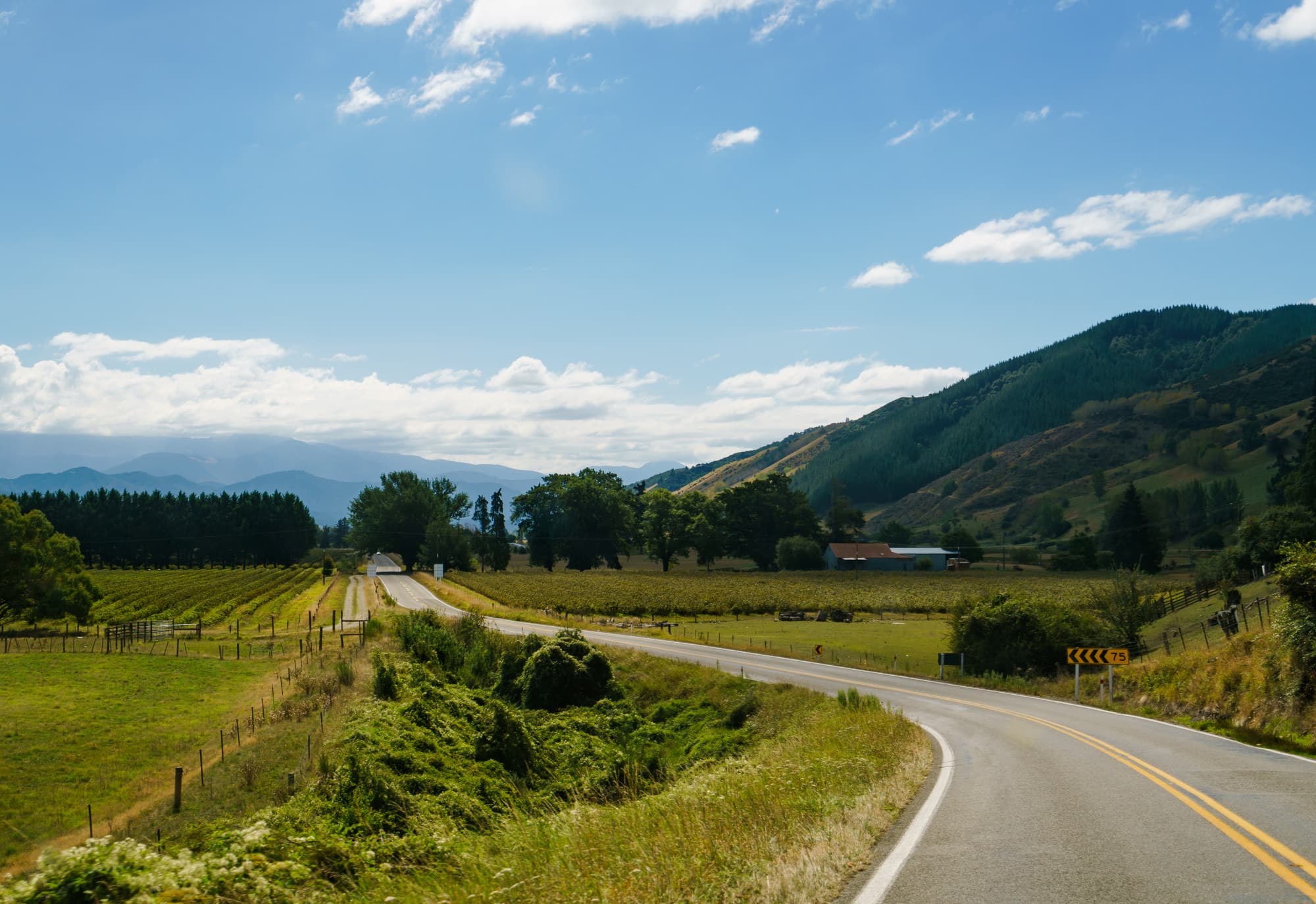 Nelson Lakes & Wharariki Beach photo copyright-paulstamatiou_com-DSC01762