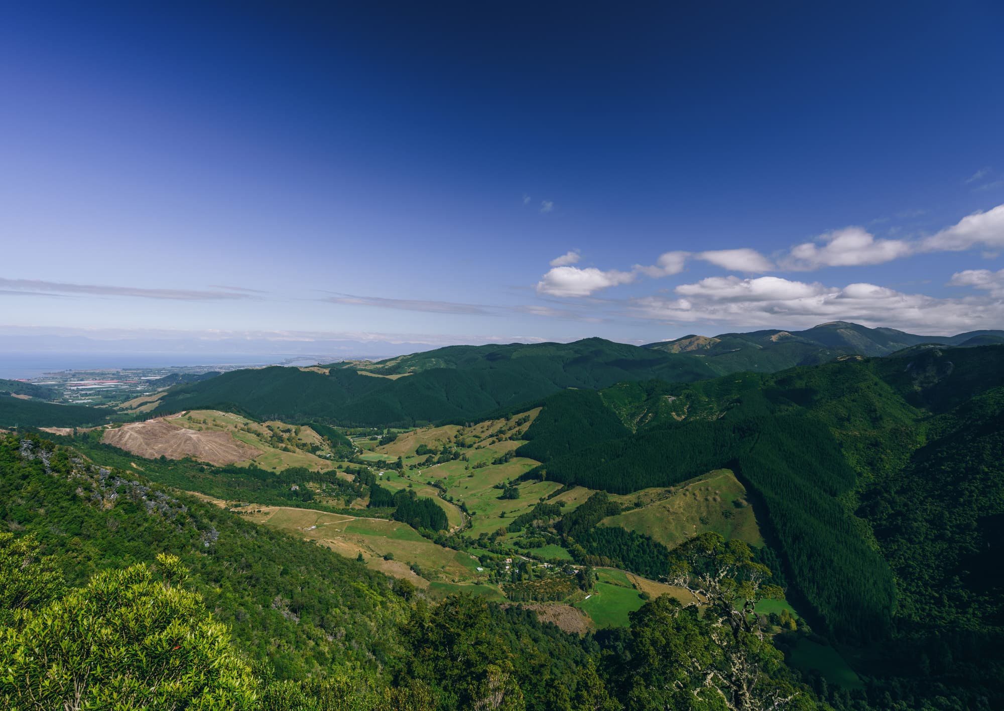 Nelson Lakes & Wharariki Beach photo copyright-paulstamatiou_com-DSC01823-HDR