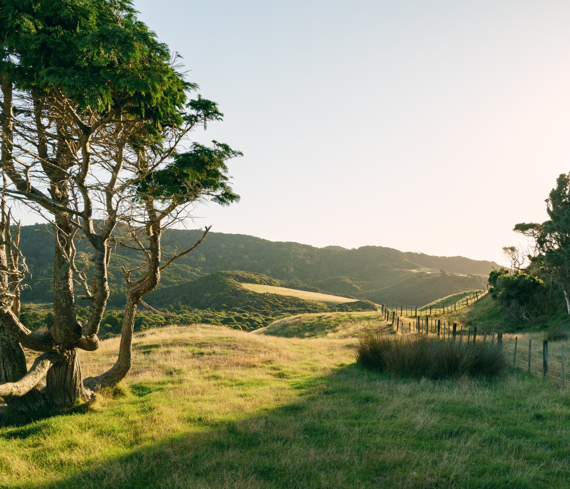 Nelson Lakes & Wharariki Beach photo copyright-paulstamatiou_com-DSC01875-HDR