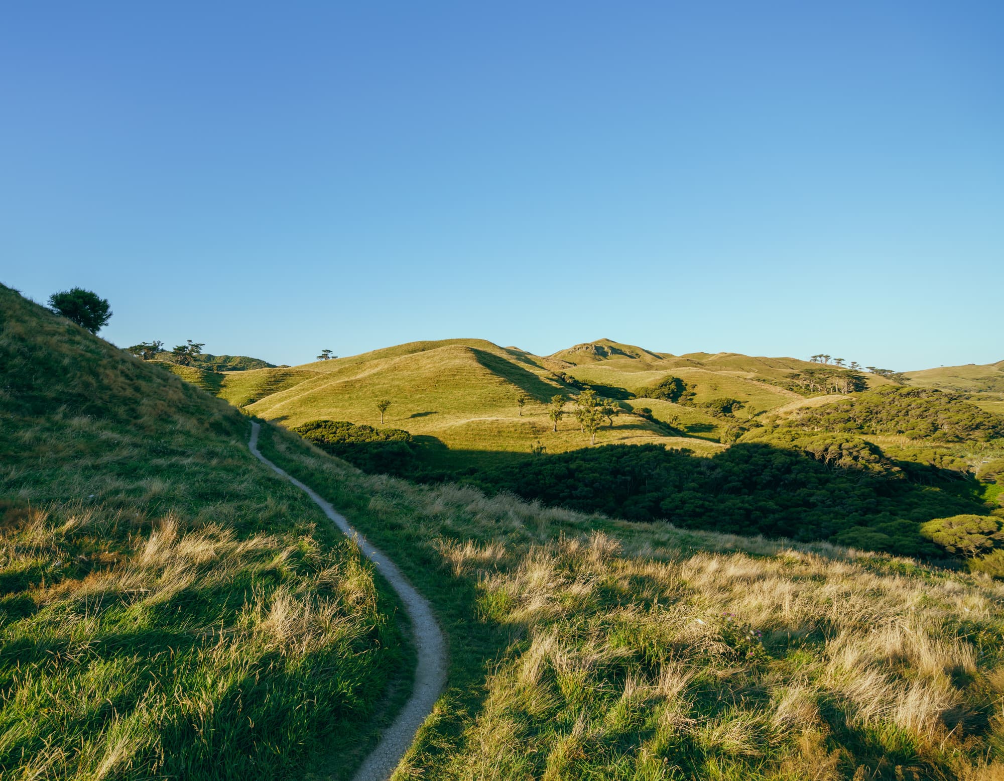 Nelson Lakes & Wharariki Beach photo copyright-paulstamatiou_com-DSC01883-HDR