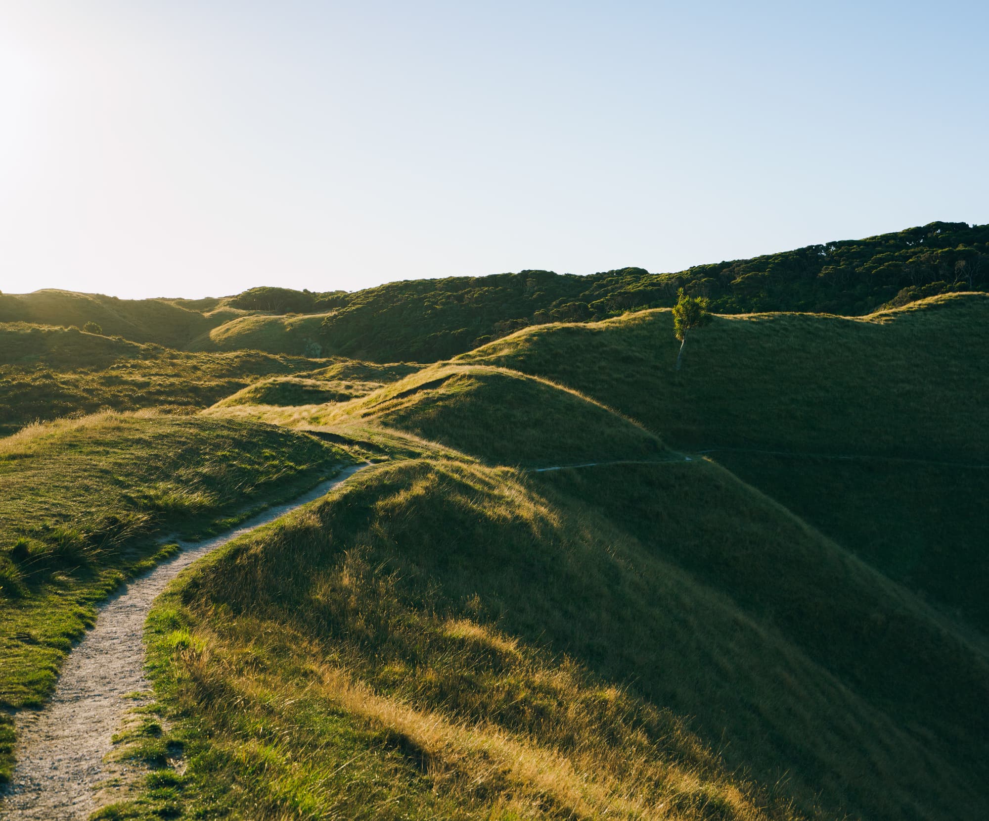 Nelson Lakes & Wharariki Beach photo copyright-paulstamatiou_com-DSC01892-HDR