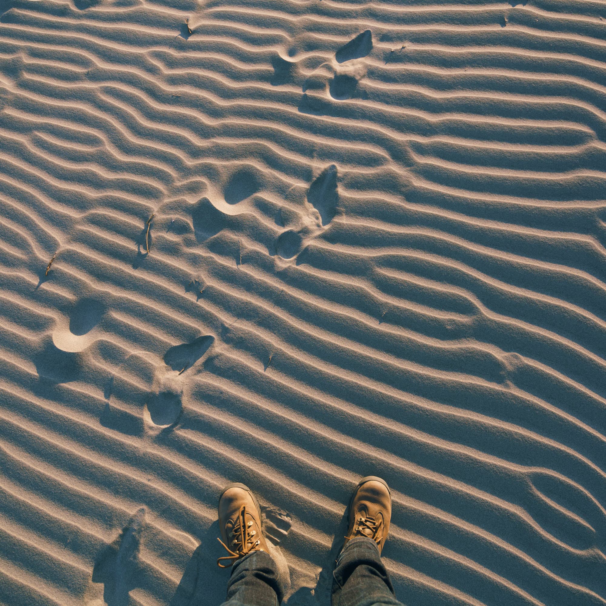 Nelson Lakes & Wharariki Beach photo copyright-paulstamatiou_com-DSC01939