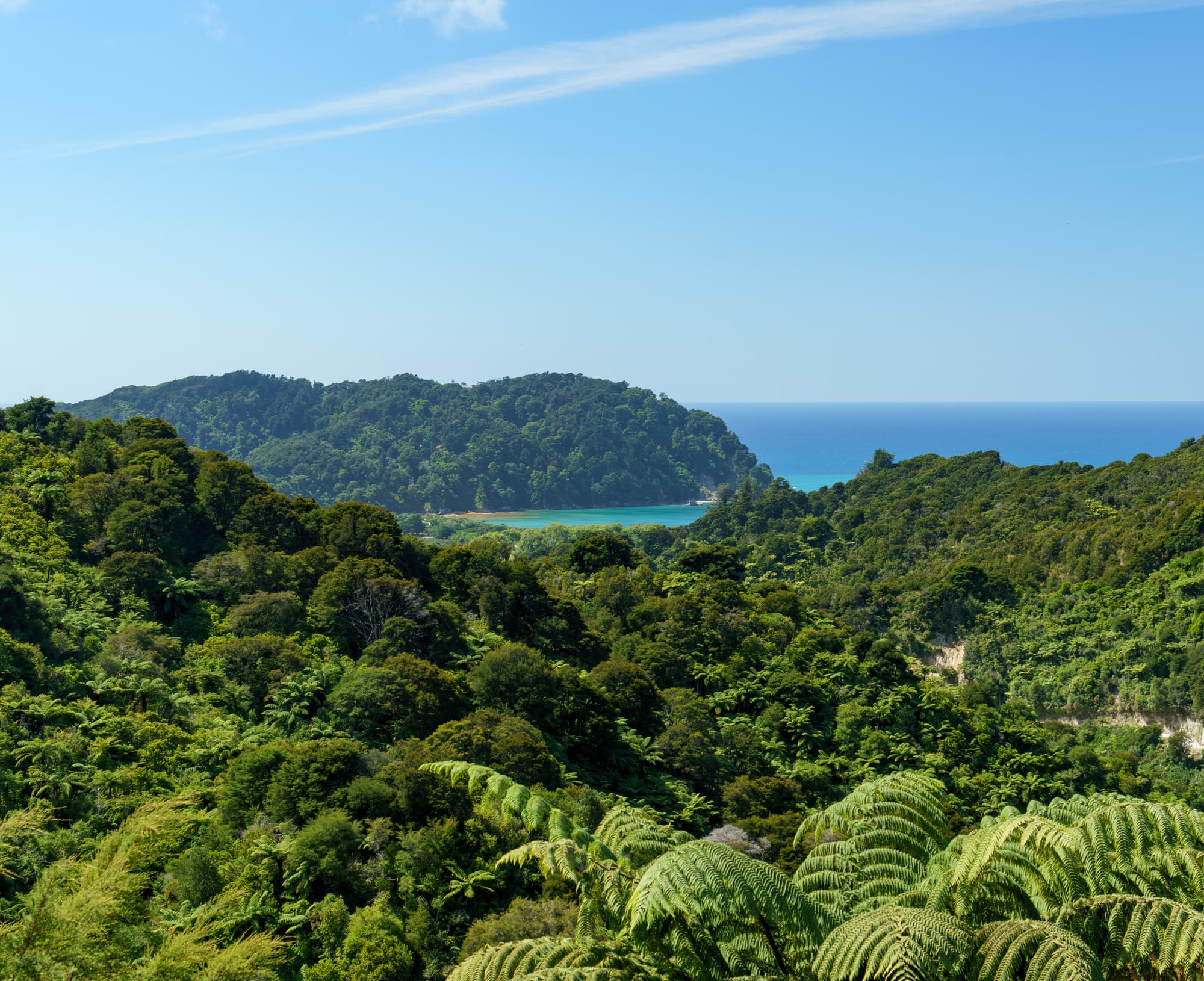 Nelson Lakes & Wharariki Beach photo copyright-paulstamatiou_com-DSC02177